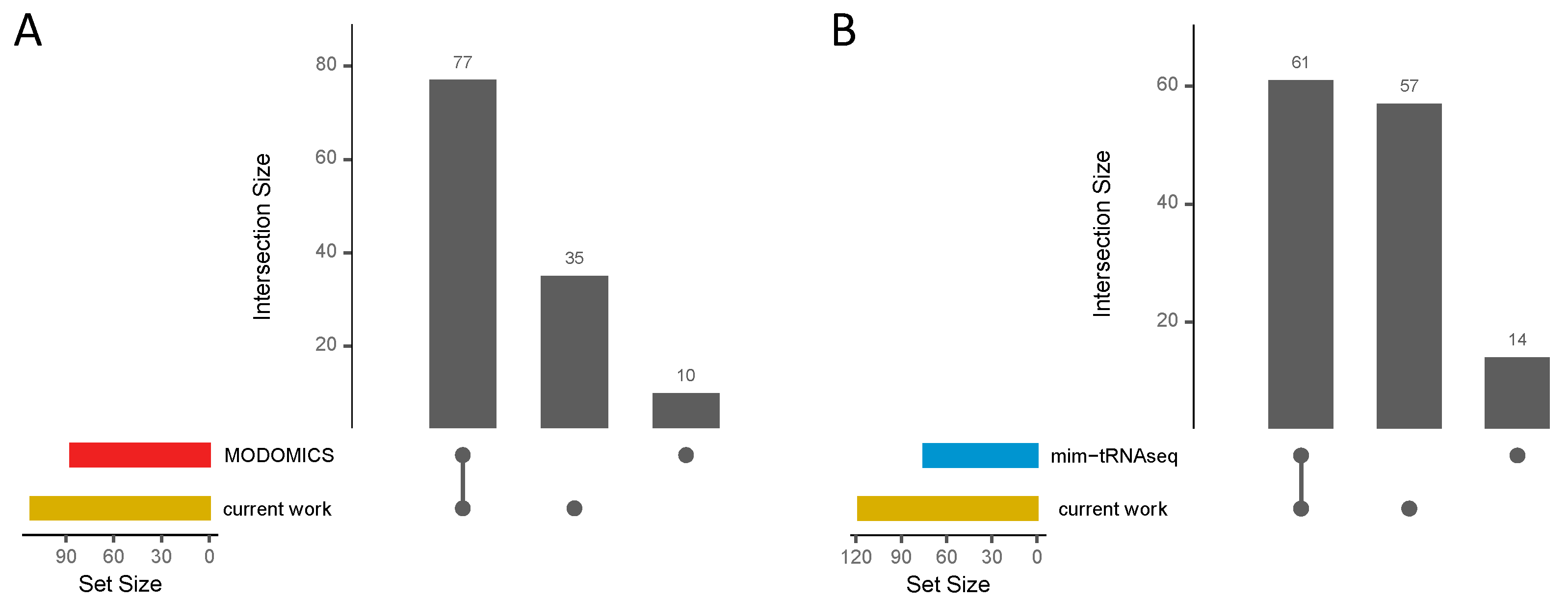 Ijms 25 08823 g006 Ijms 25 08823 g006