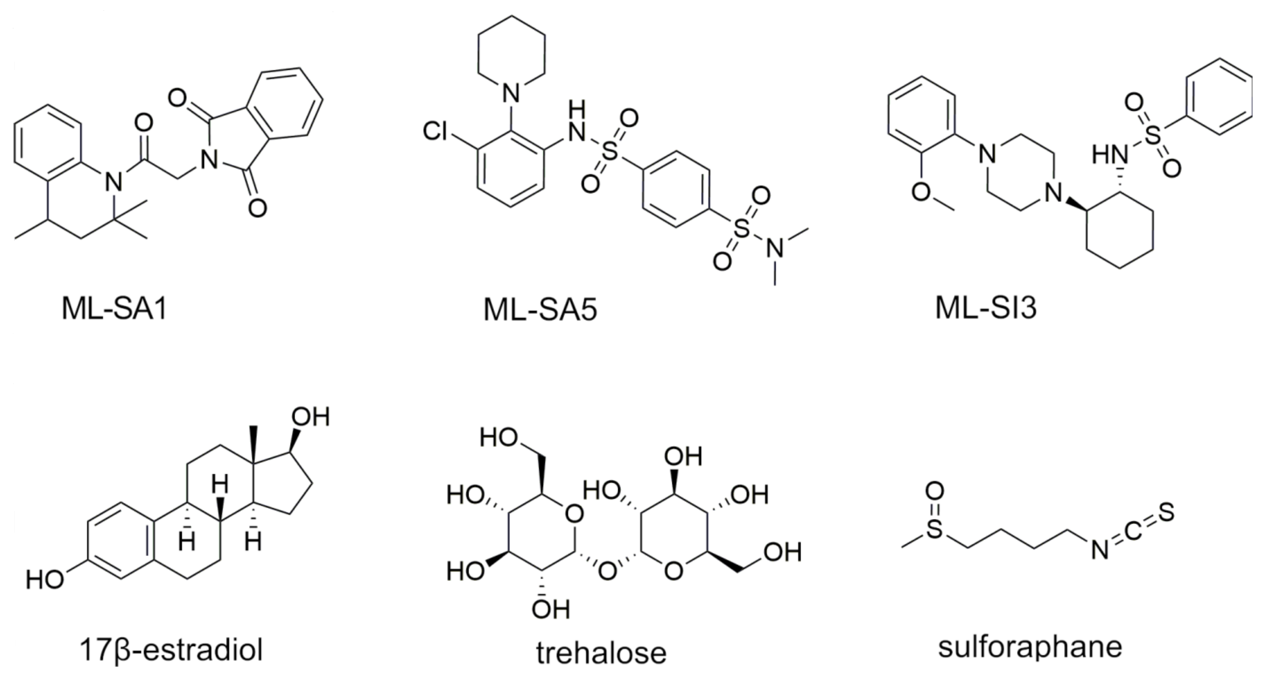 Ijms 25 08829 g001 Ijms 25 08829 g001