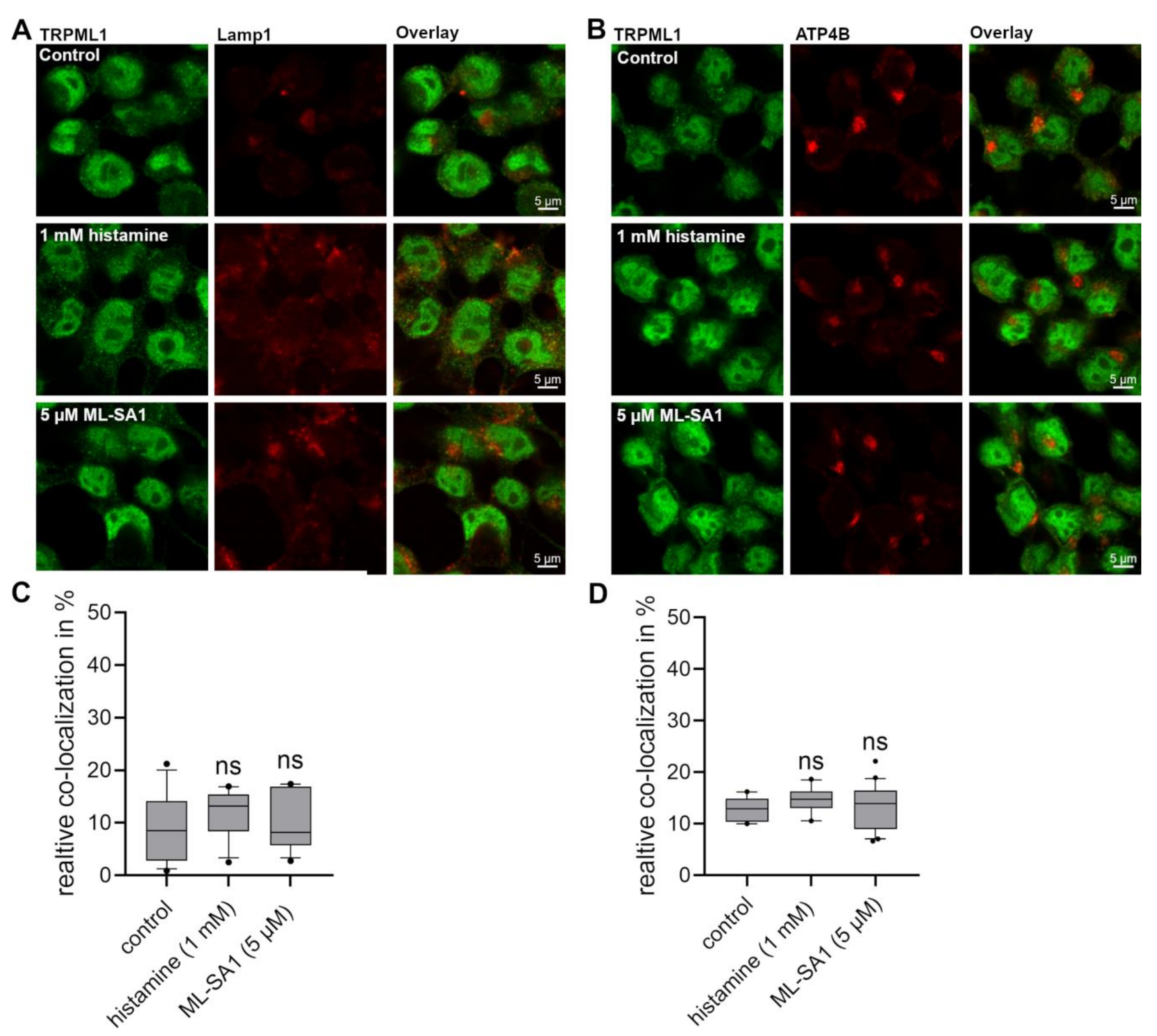 Ijms 25 08829 g006 Ijms 25 08829 g006