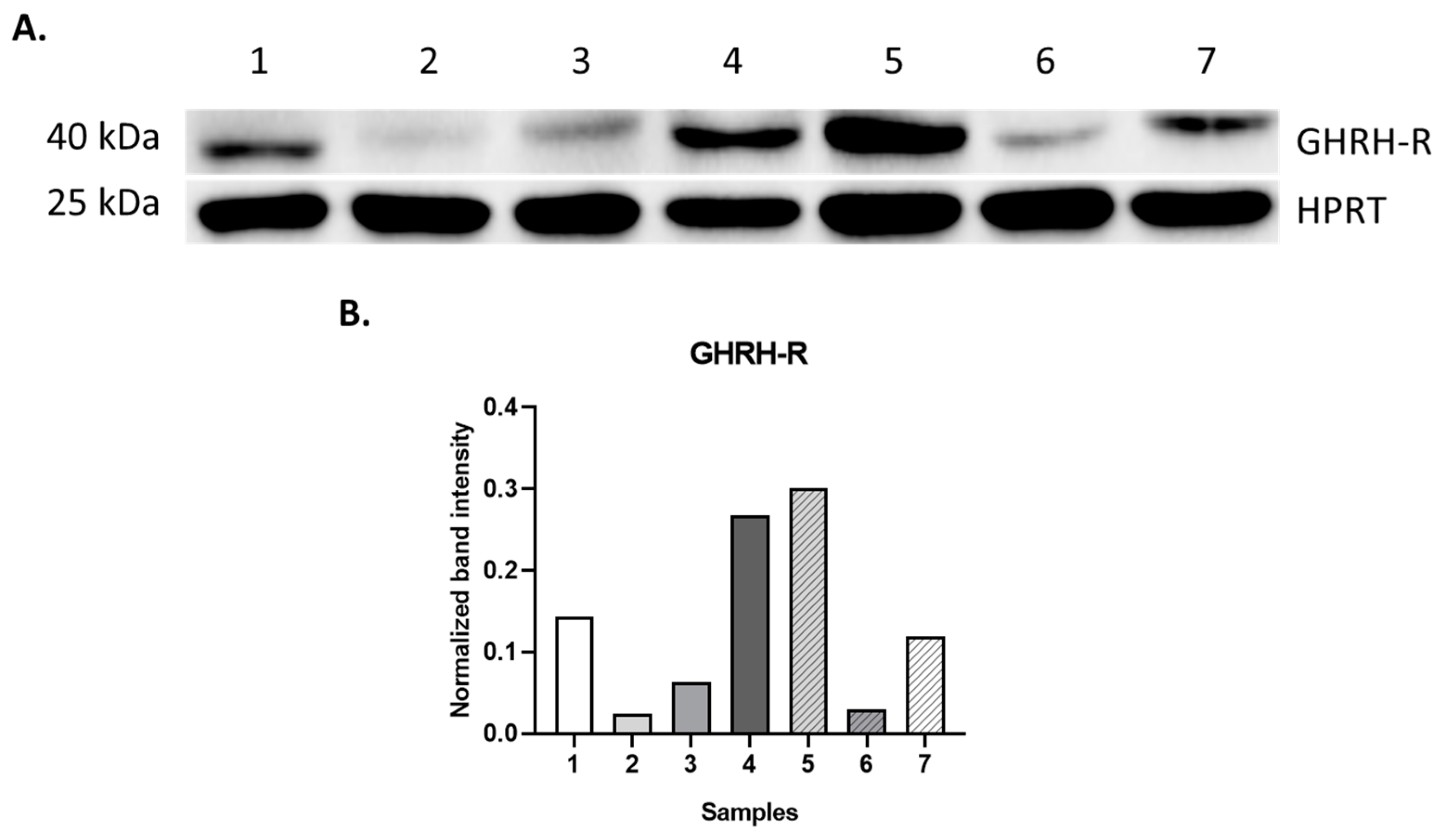 Ijms 25 08831 g004 Ijms 25 08831 g004