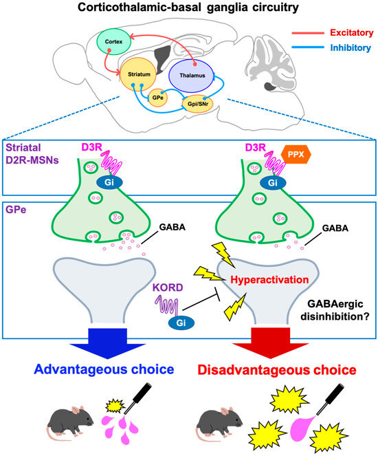 Characteristics of the Cytotoxicity of Taraxacum mongolicum