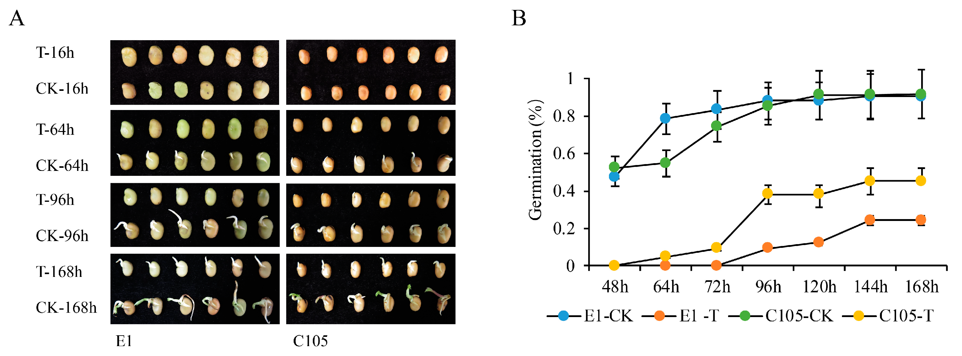 Ijms 25 08875 g001 Ijms 25 08875 g001
