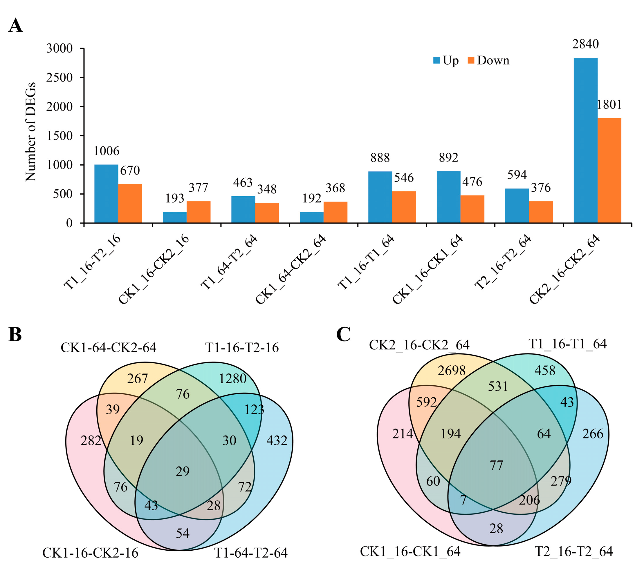 Ijms 25 08875 g002 Ijms 25 08875 g002