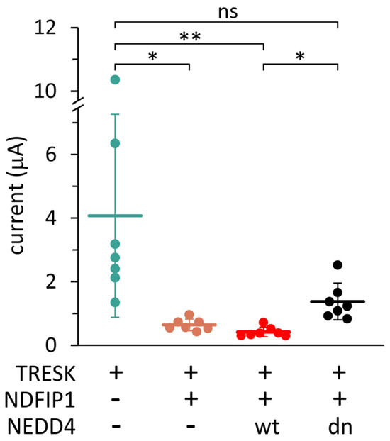 The Ubiquitin Ligase Adaptor NDFIP1 Interacts with TRESK and