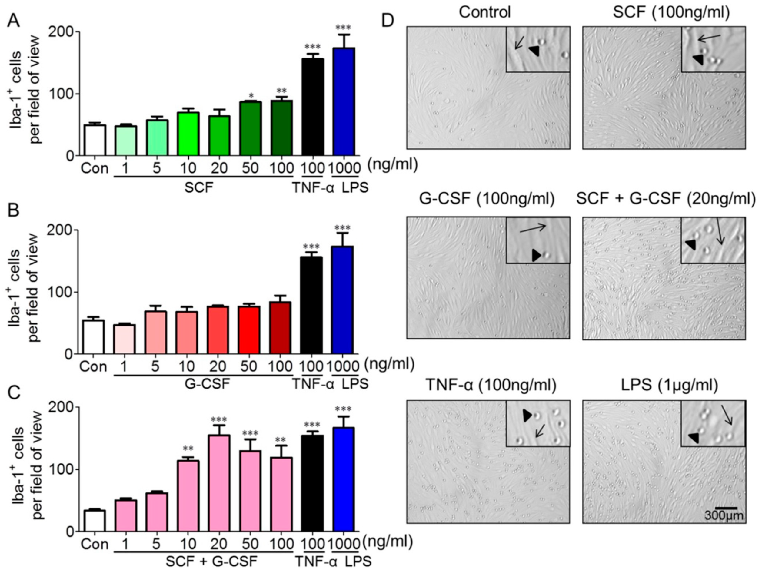Ijms 25 08898 g002 Ijms 25 08898 g002