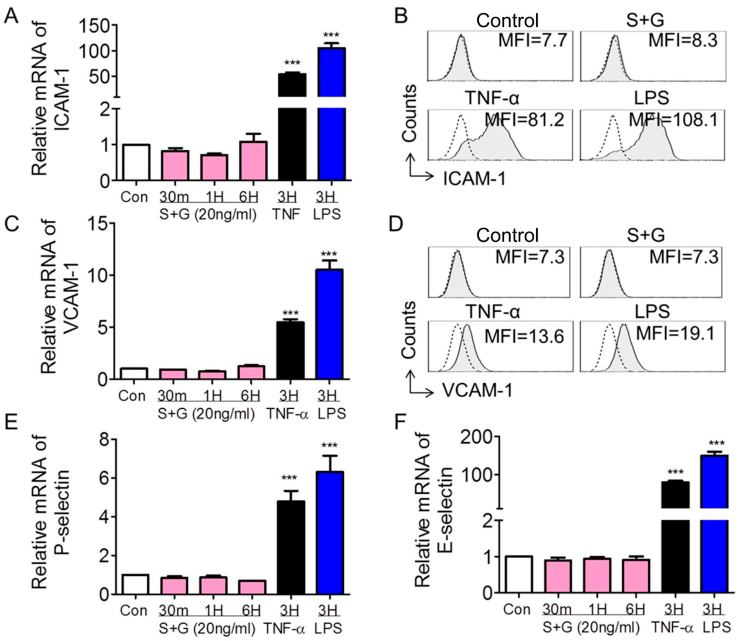Ijms 25 08898 g003 Ijms 25 08898 g003