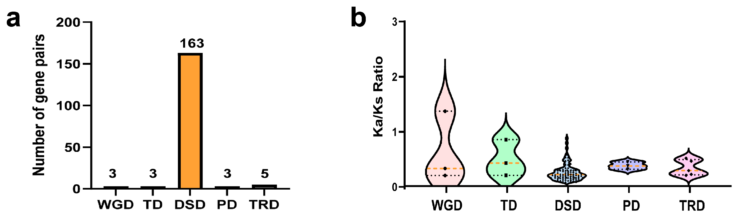R2R3-MYB Gene Family in Coptis teeta Wall.: Genome-Wide