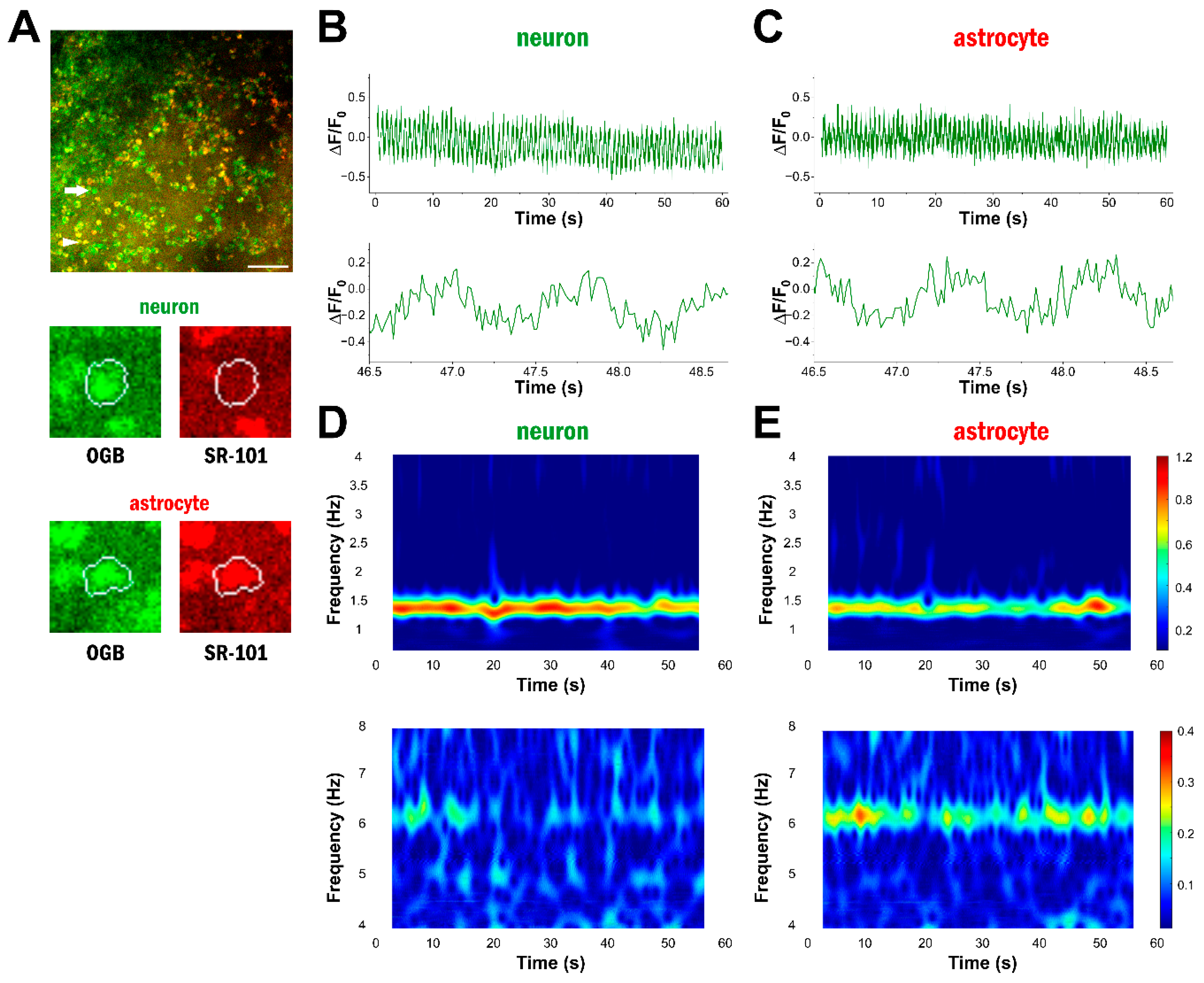 Ijms 25 08911 g001 Ijms 25 08911 g001