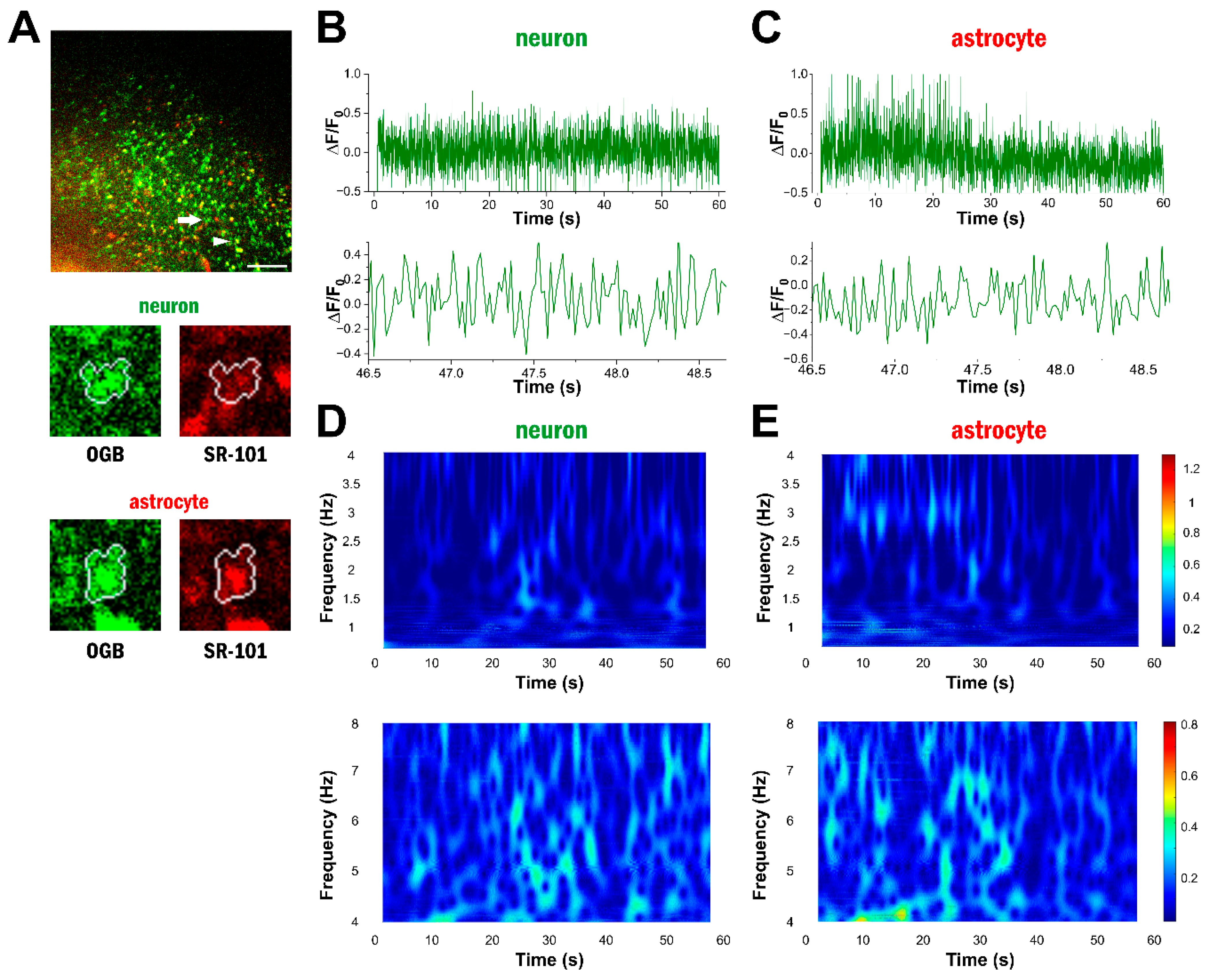 Ijms 25 08911 g002 Ijms 25 08911 g002