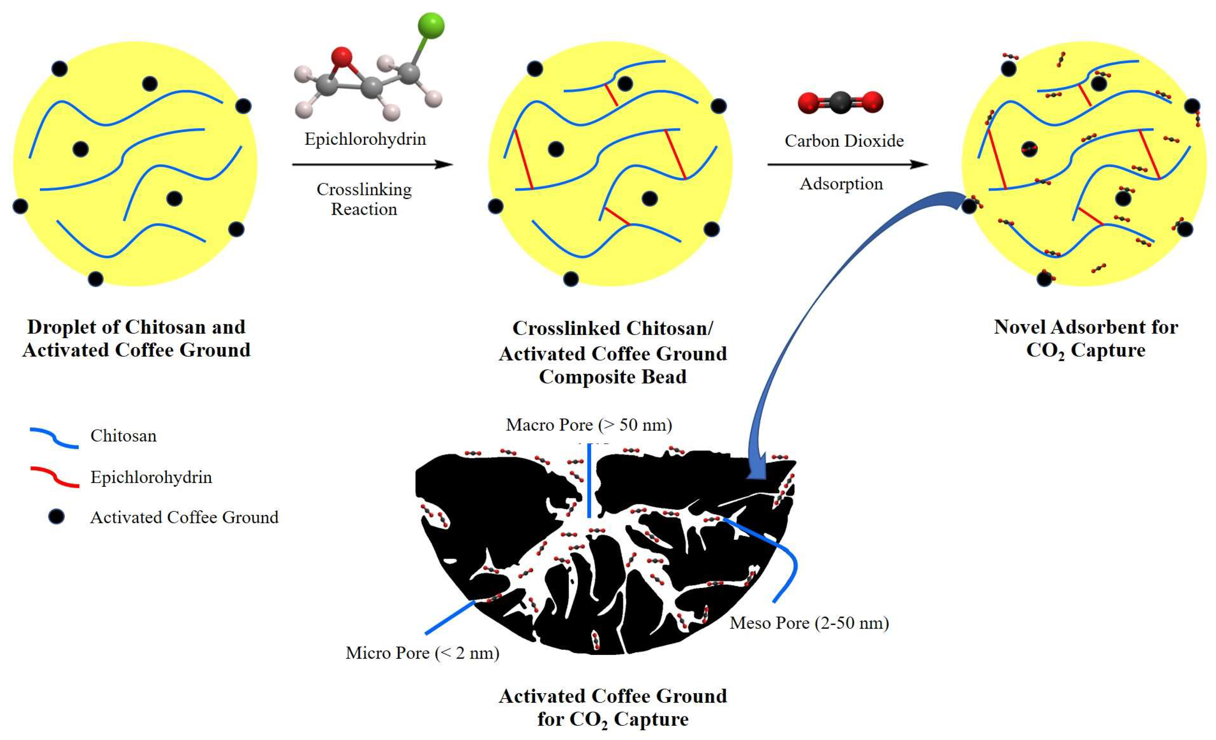 Ijms 25 08916 sch004