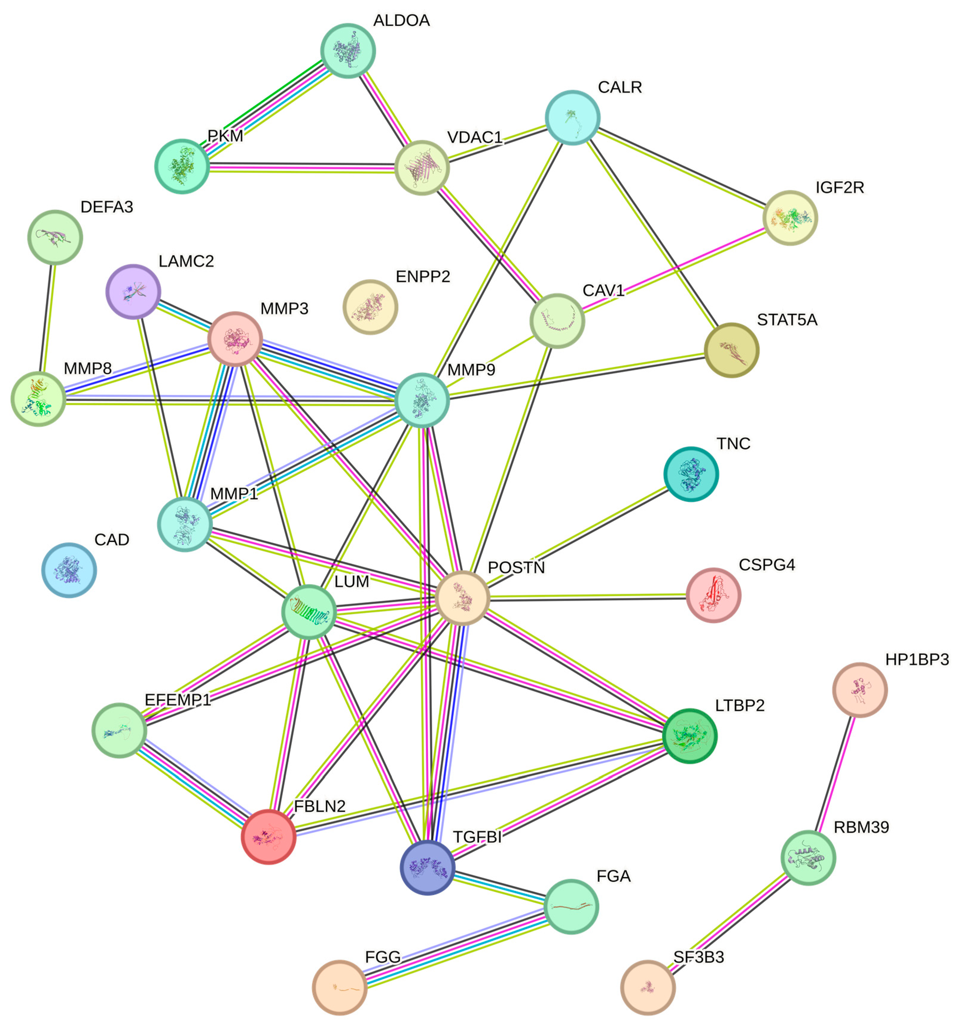 Ijms 25 08929 g004 Ijms 25 08929 g004