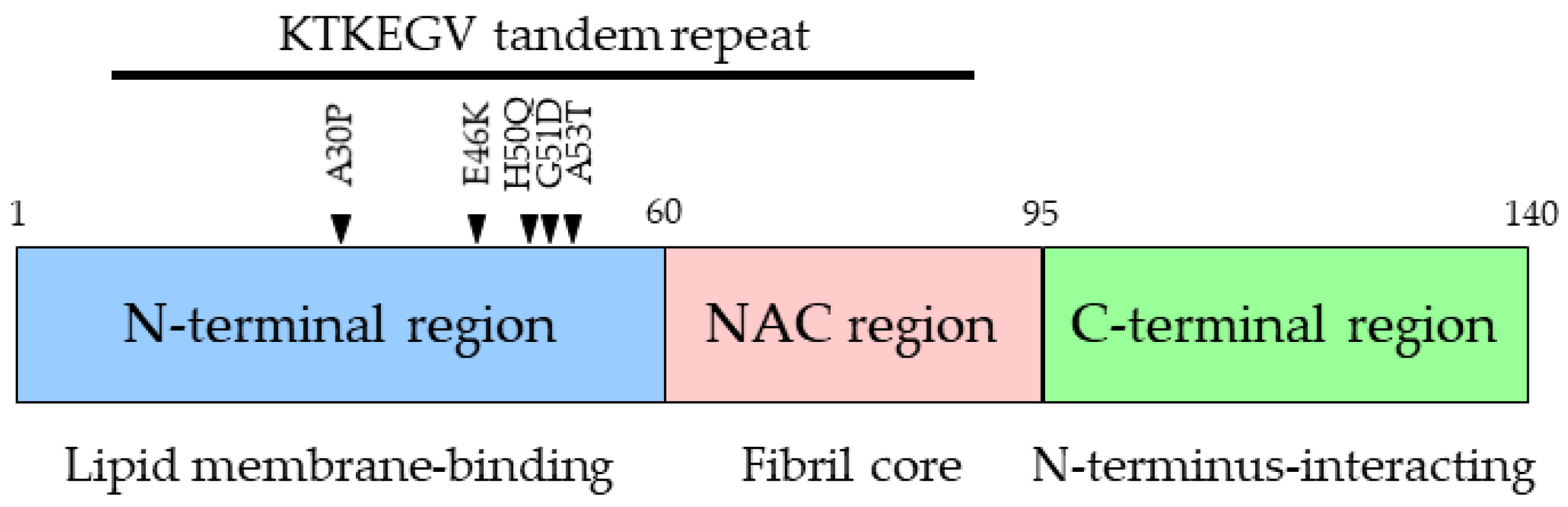 Ijms 25 08935 g001 Ijms 25 08935 g001