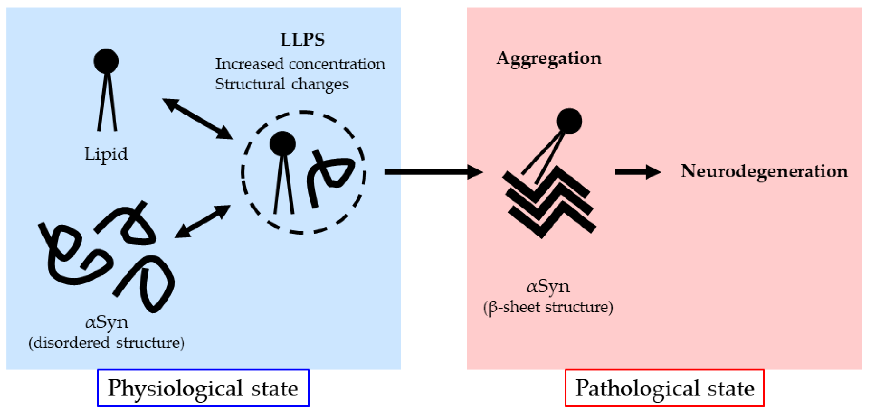 Ijms 25 08935 g002 Ijms 25 08935 g002