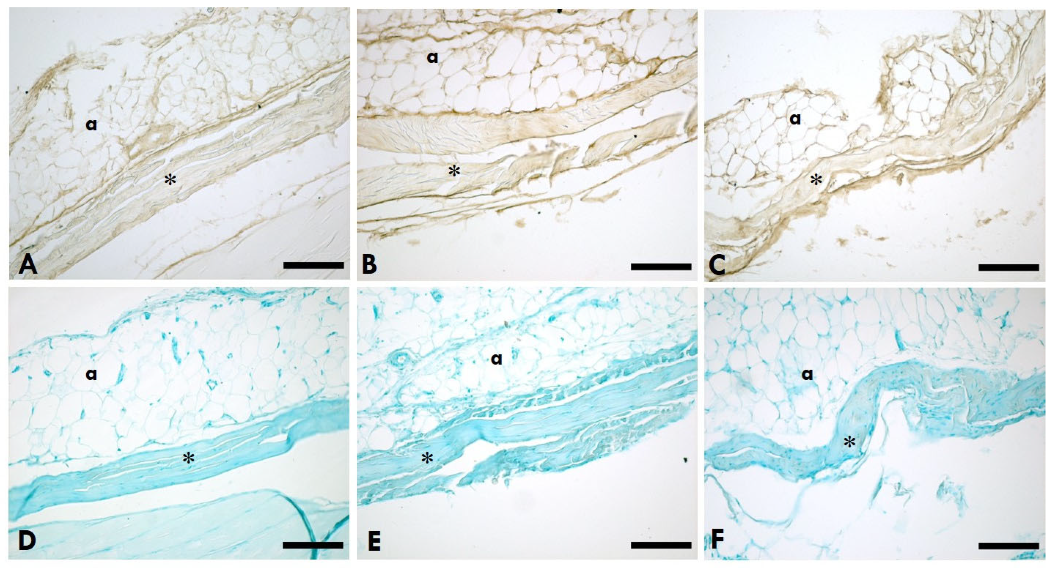 Ijms 25 08945 g002 Ijms 25 08945 g002