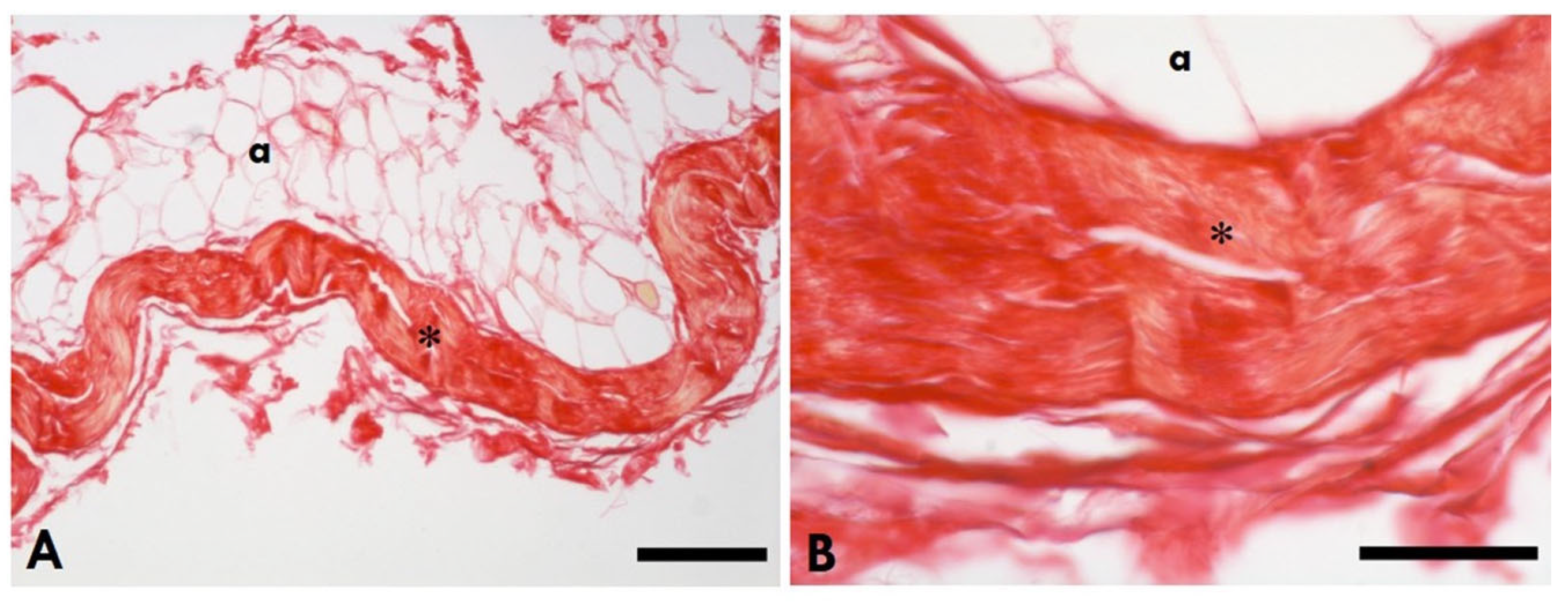 Ijms 25 08945 g004 Ijms 25 08945 g004