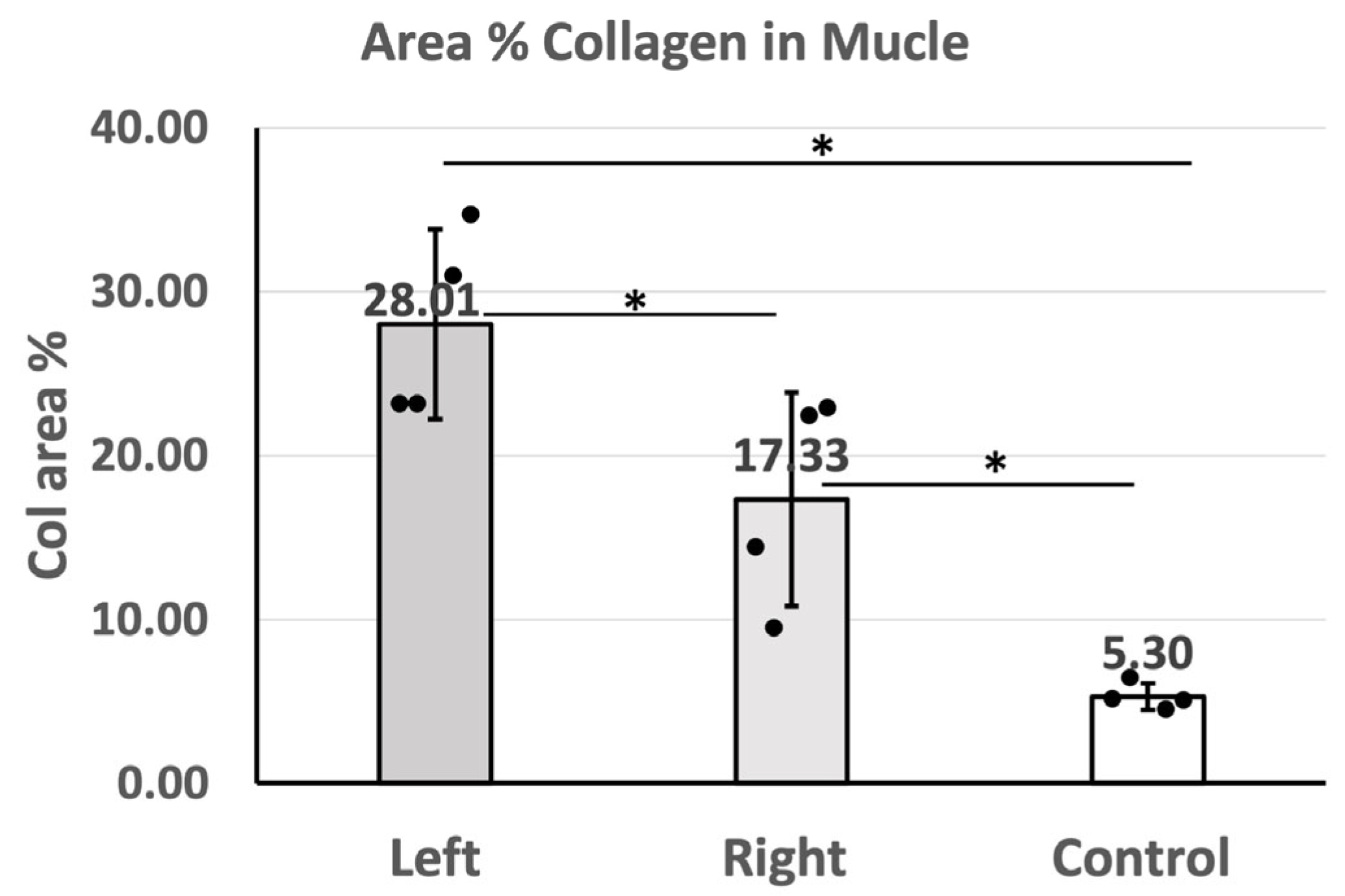 Ijms 25 08945 g007 Ijms 25 08945 g007