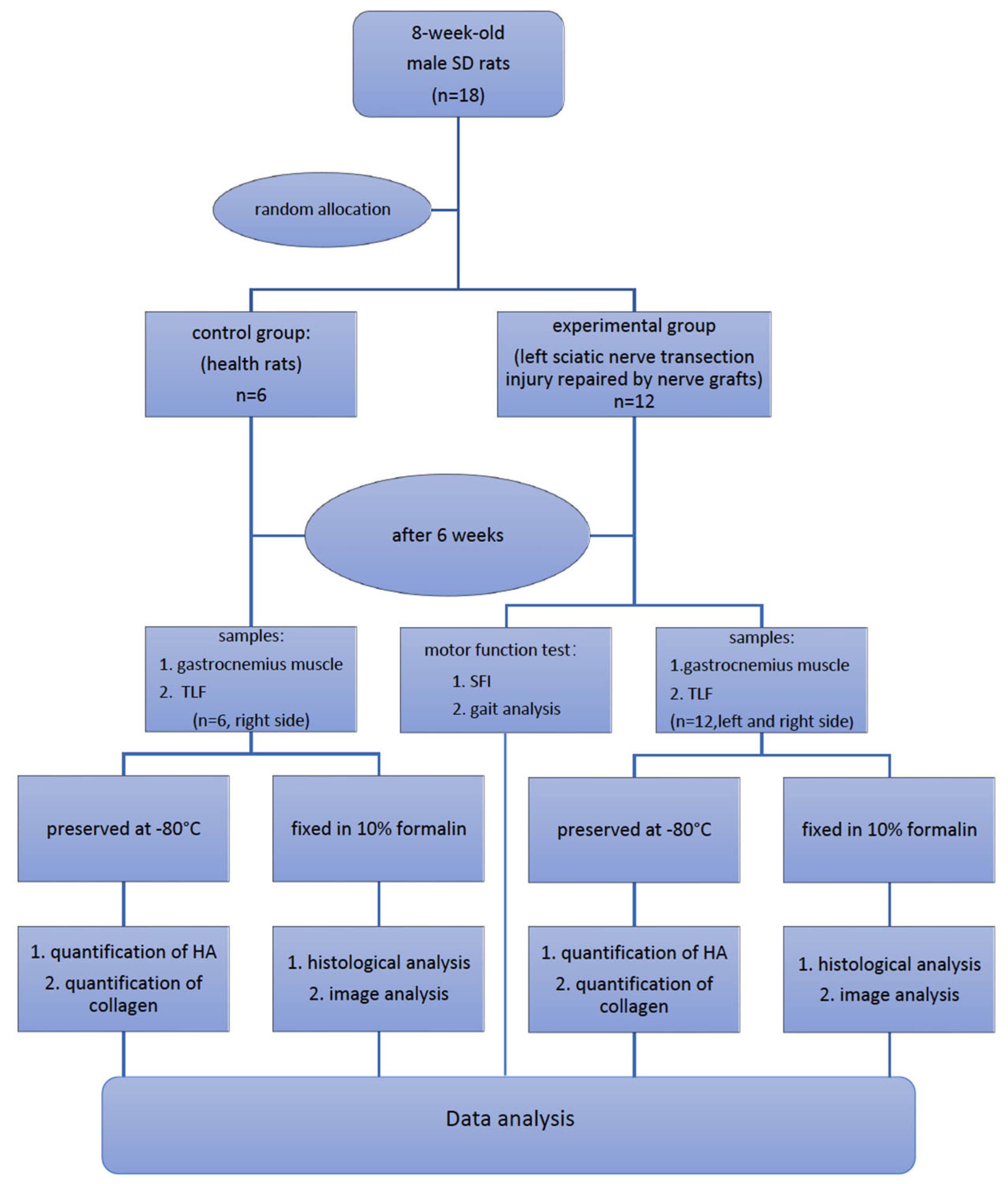 Ijms 25 08945 g009 Ijms 25 08945 g009