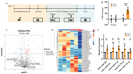 リー Combined Diagnostic Value of Hsa-miR-592 and Hsa-miR-9-3p in