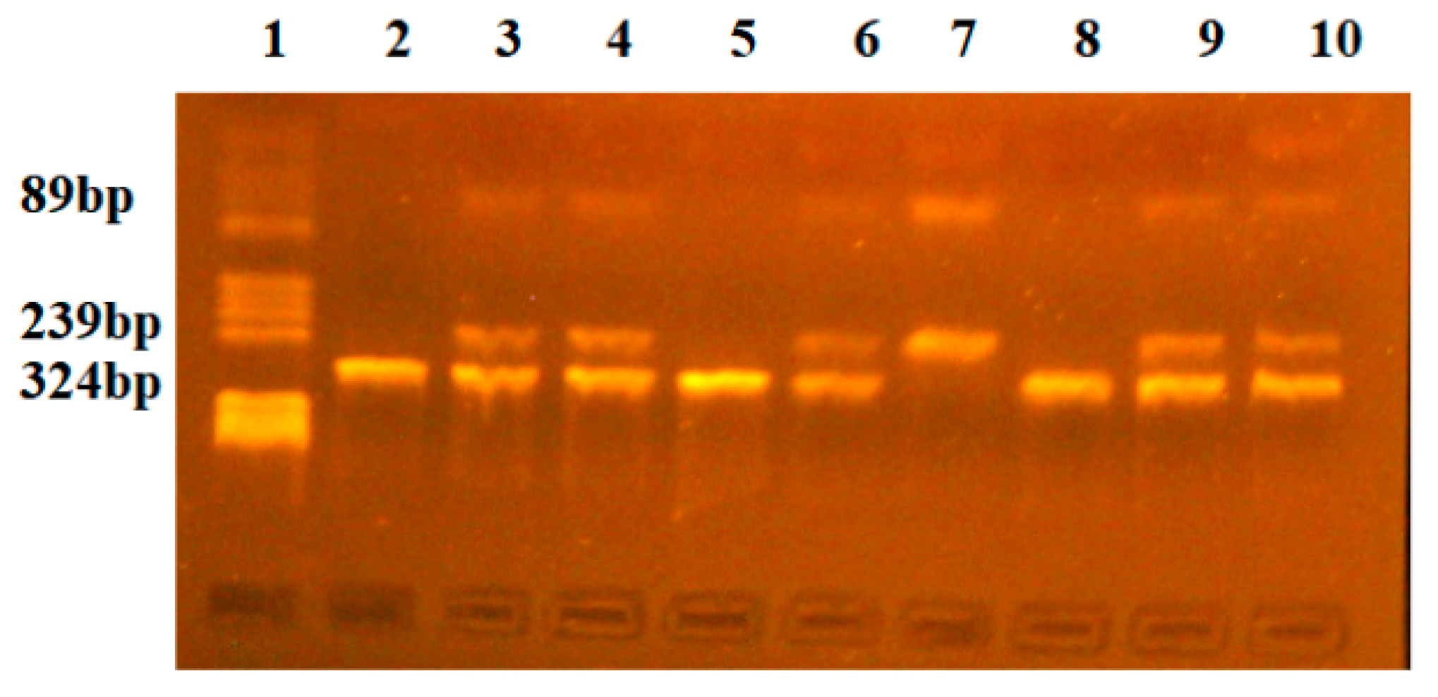 Ijms 25 08965 g002 Ijms 25 08965 g002