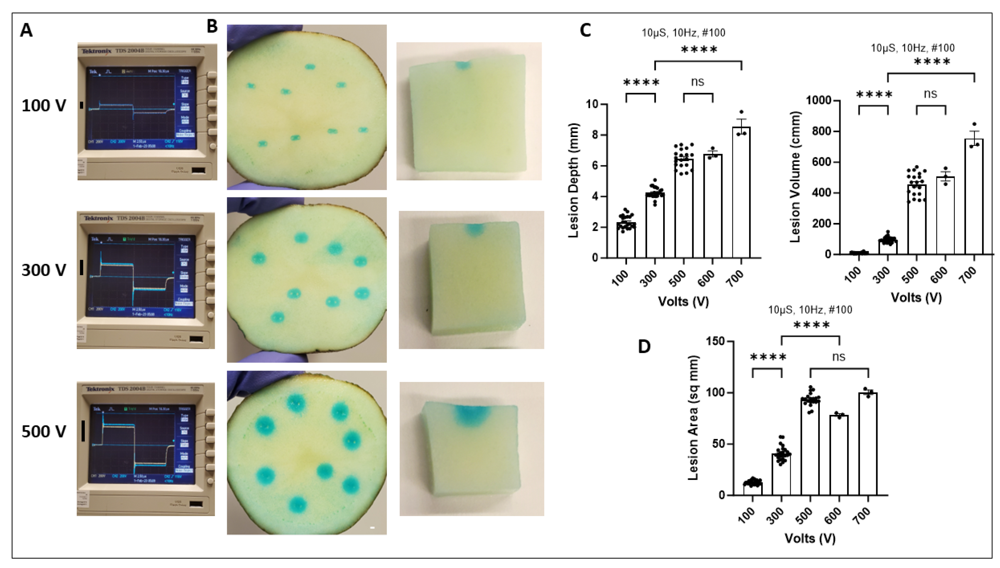 Ijms 25 08967 g002 Ijms 25 08967 g002