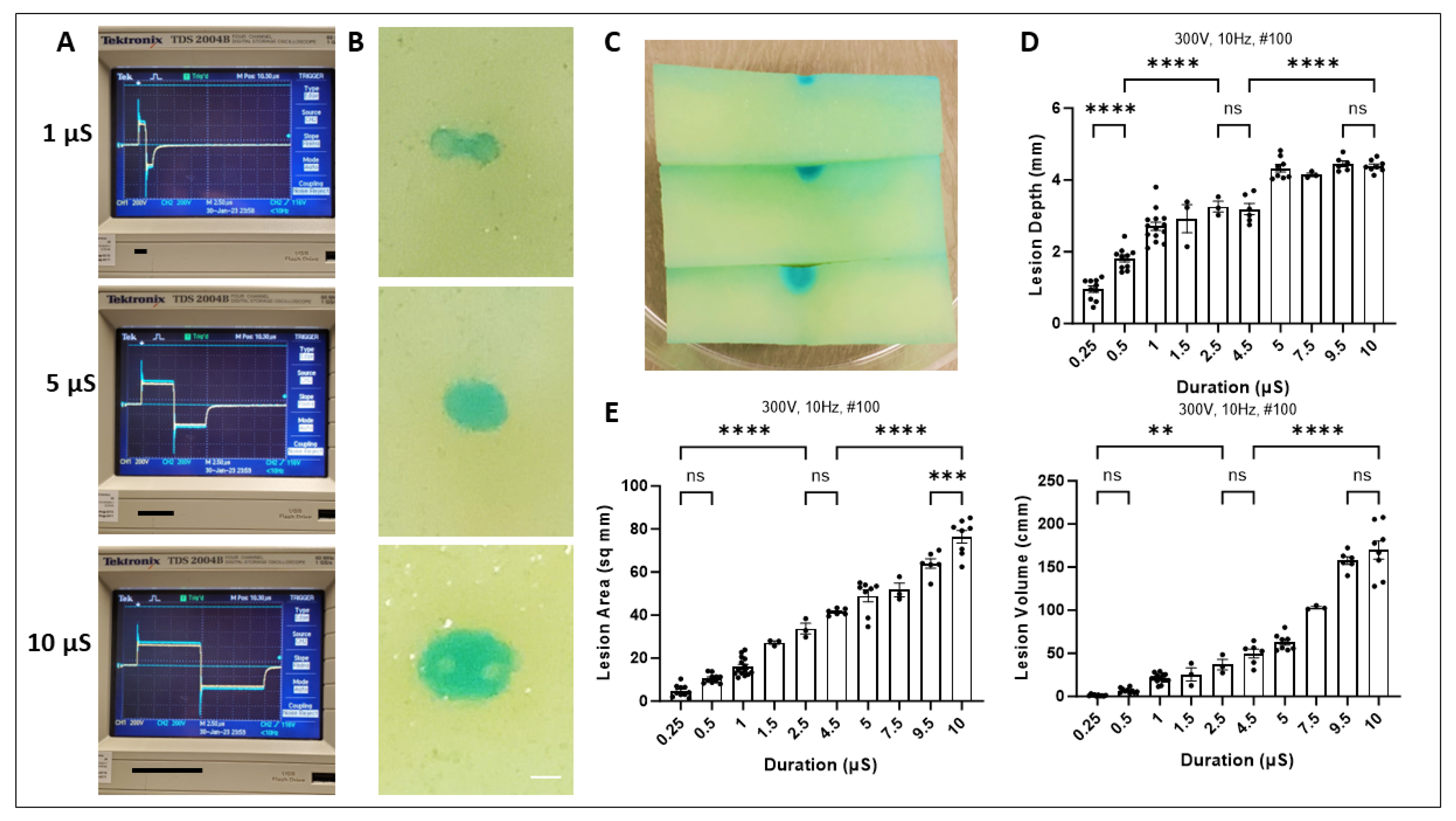 Ijms 25 08967 g003 Ijms 25 08967 g003