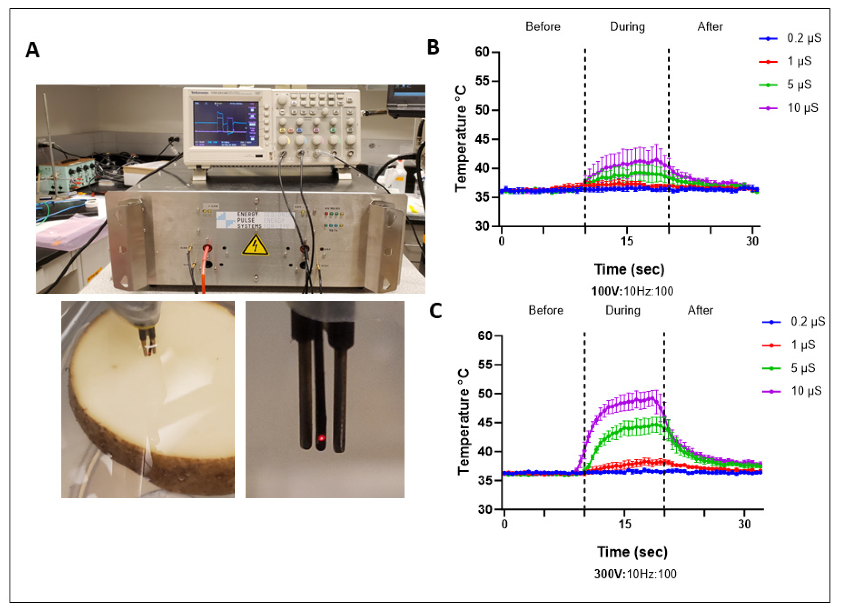 Ijms 25 08967 g006 Ijms 25 08967 g006