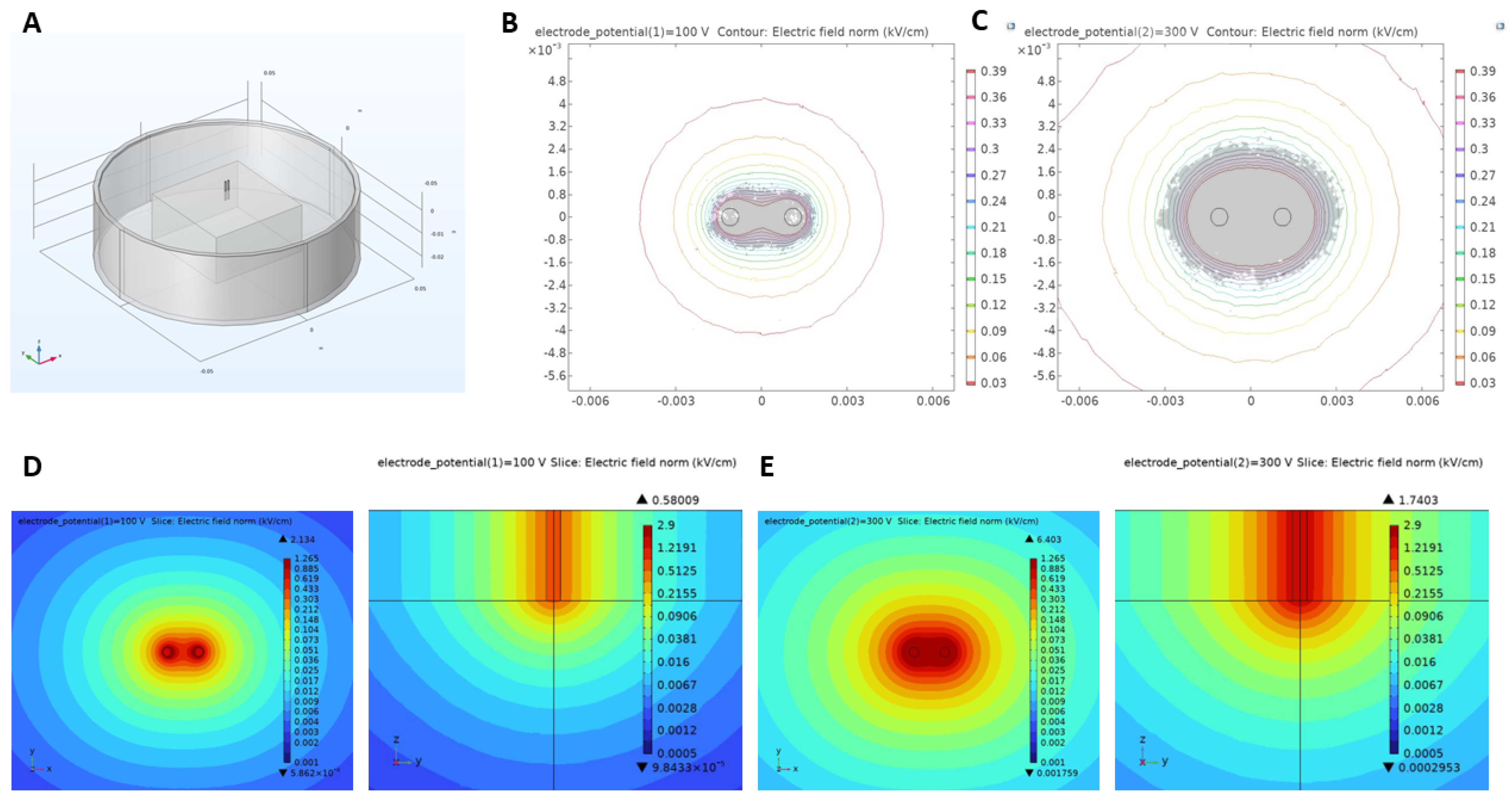 Ijms 25 08967 g007 Ijms 25 08967 g007