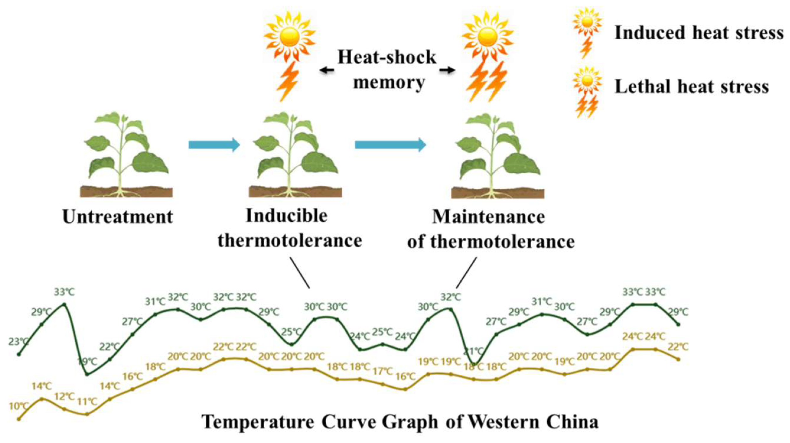 Ijms 25 08976 g001 Ijms 25 08976 g001
