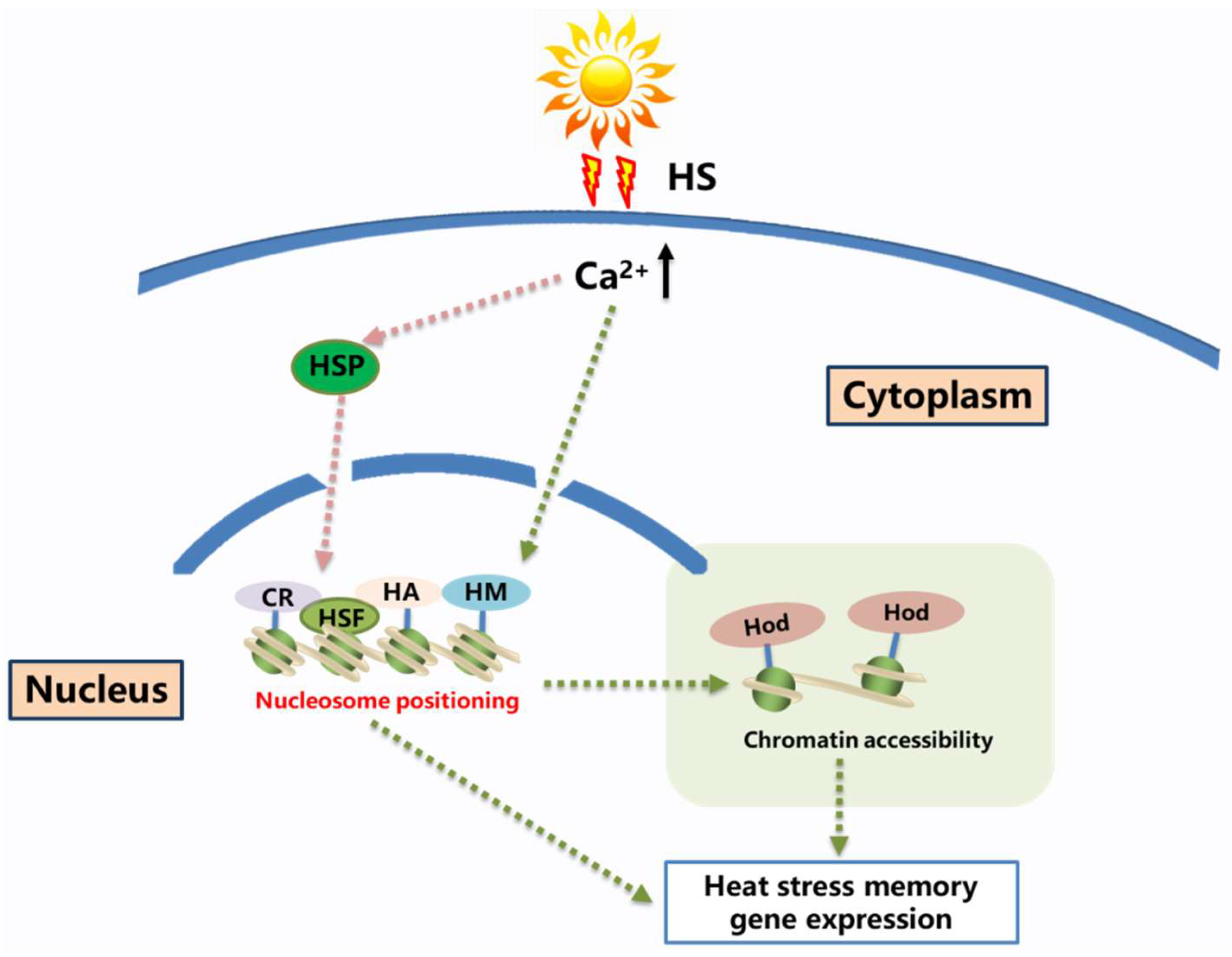 Ijms 25 08976 g002 Ijms 25 08976 g002