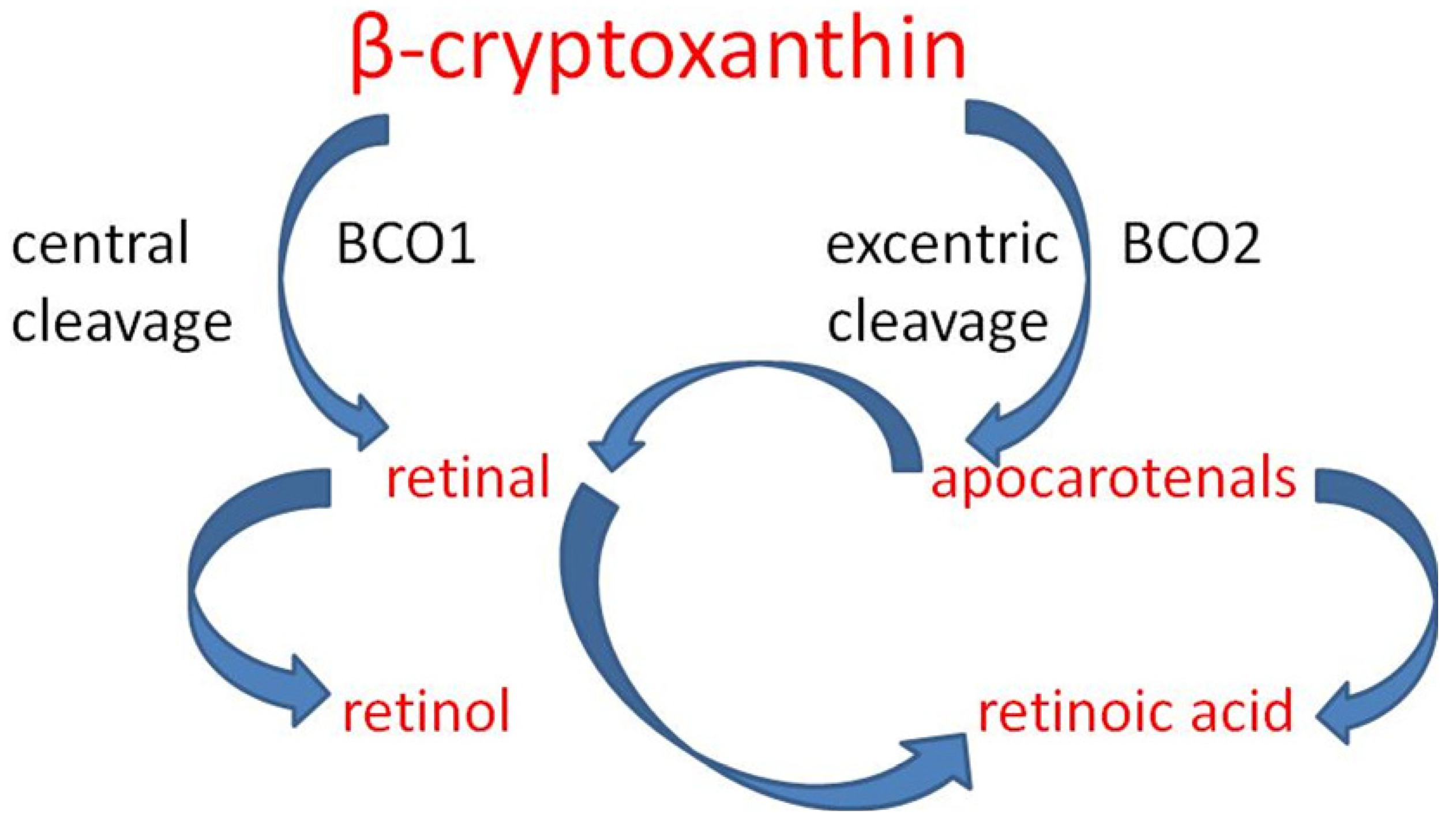 Ijms 25 08982 g009 Ijms 25 08982 g009