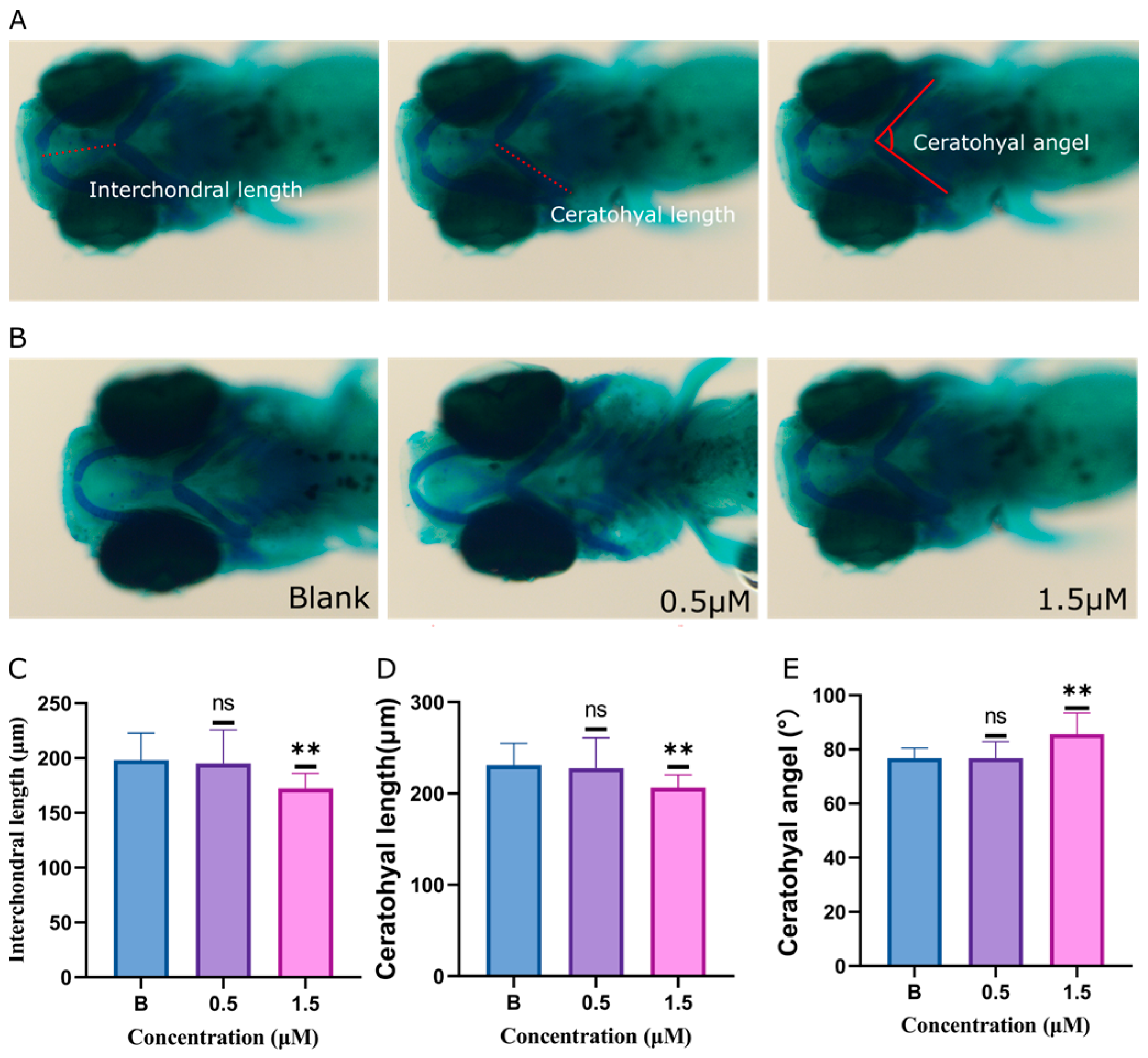 Ijms 25 08985 g003 Ijms 25 08985 g003