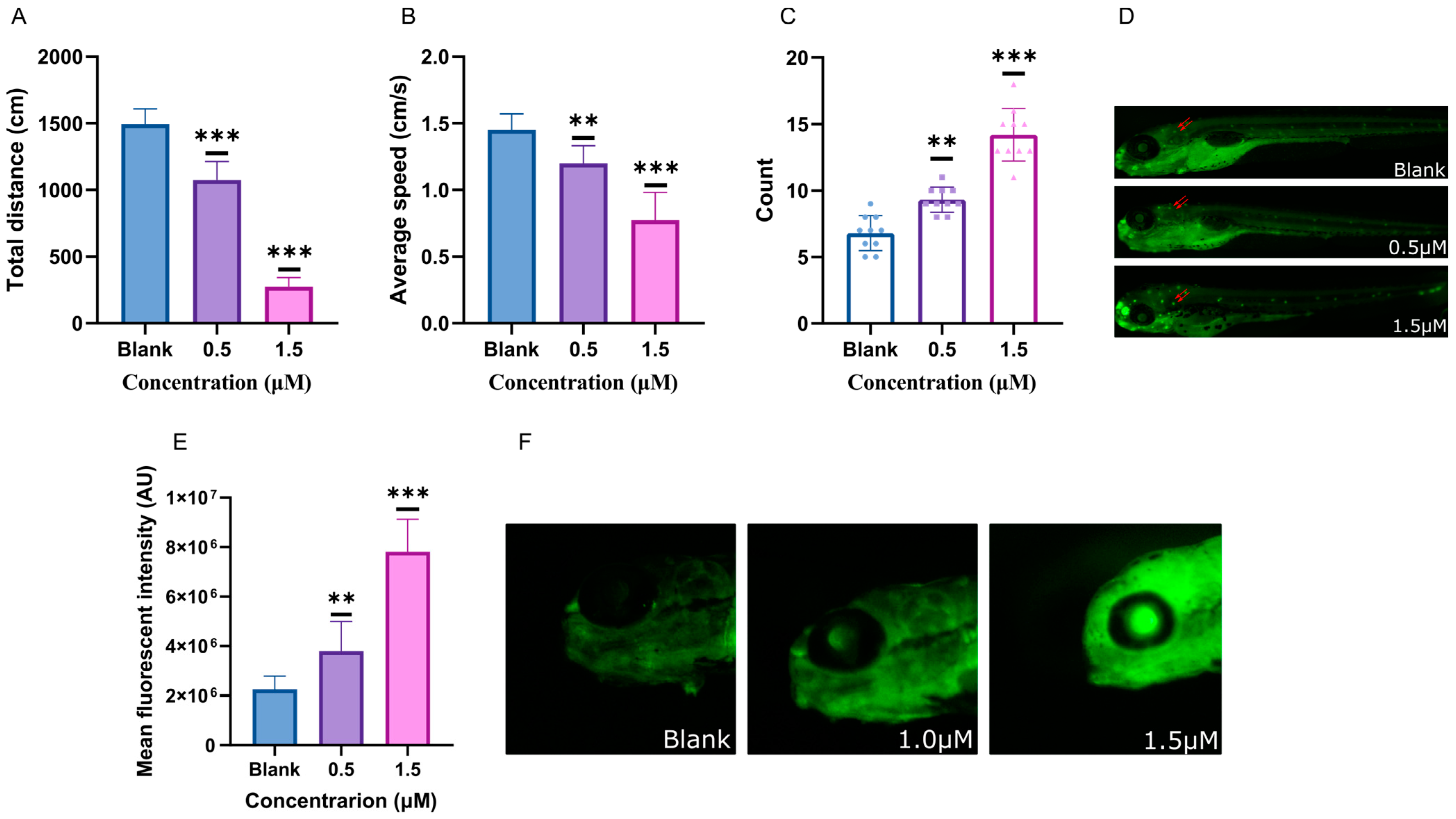 Ijms 25 08985 g004 Ijms 25 08985 g004