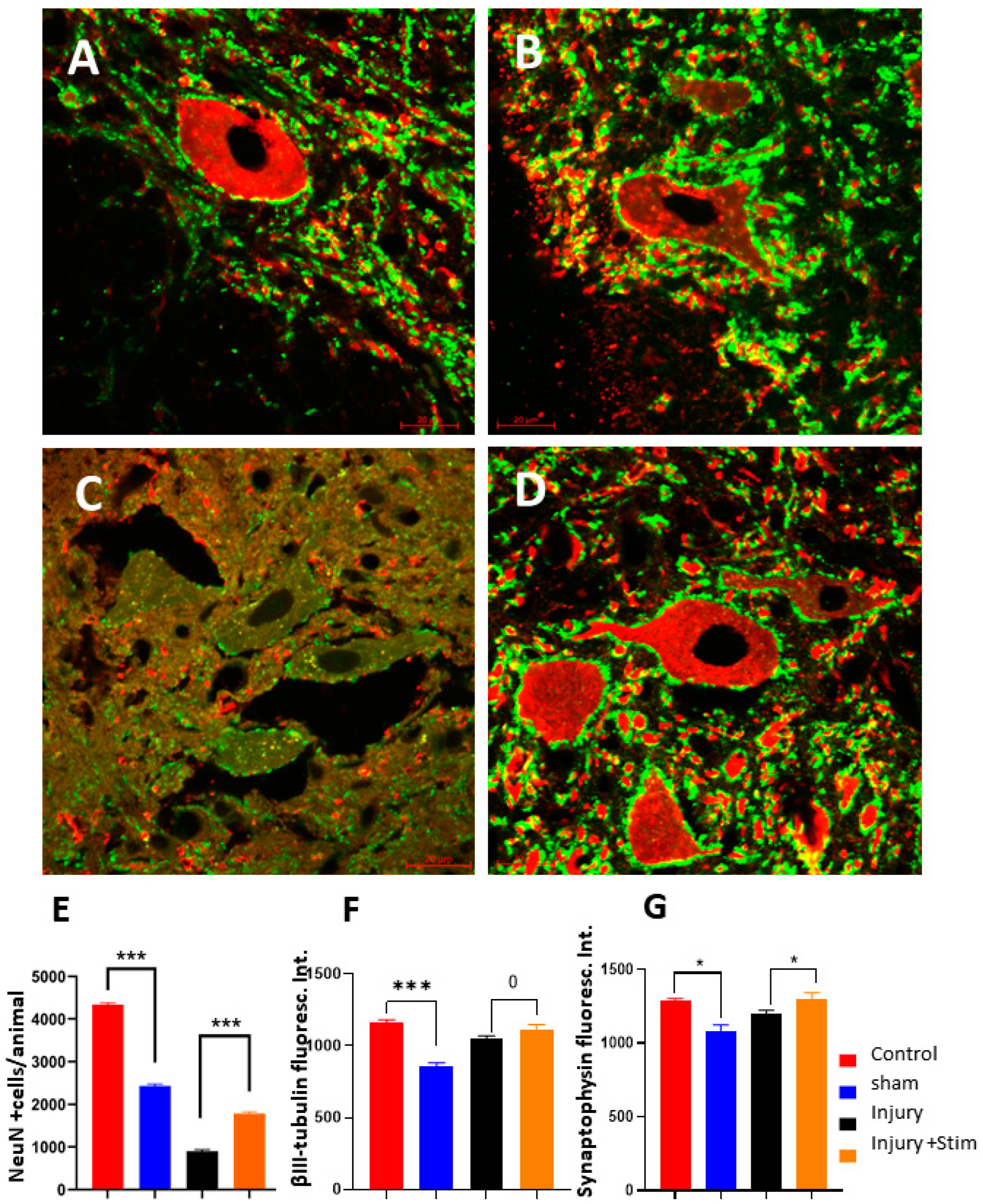 Ijms 25 09043 g003 Ijms 25 09043 g003