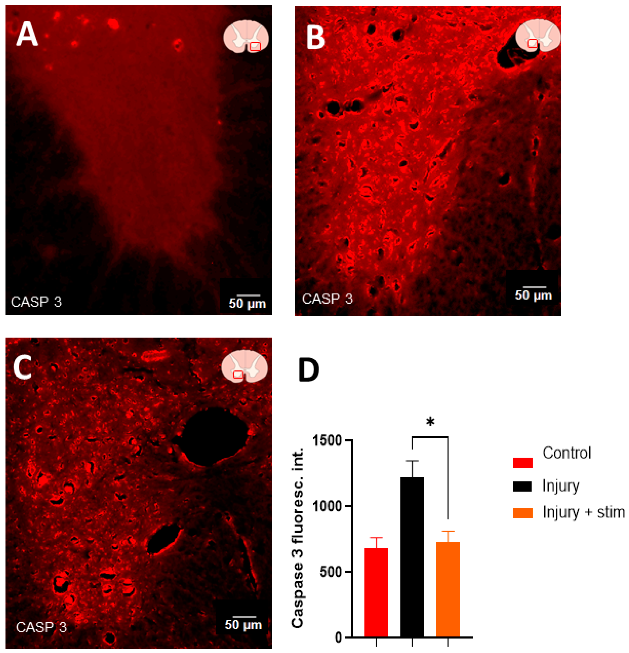 Ijms 25 09043 g004 Ijms 25 09043 g004