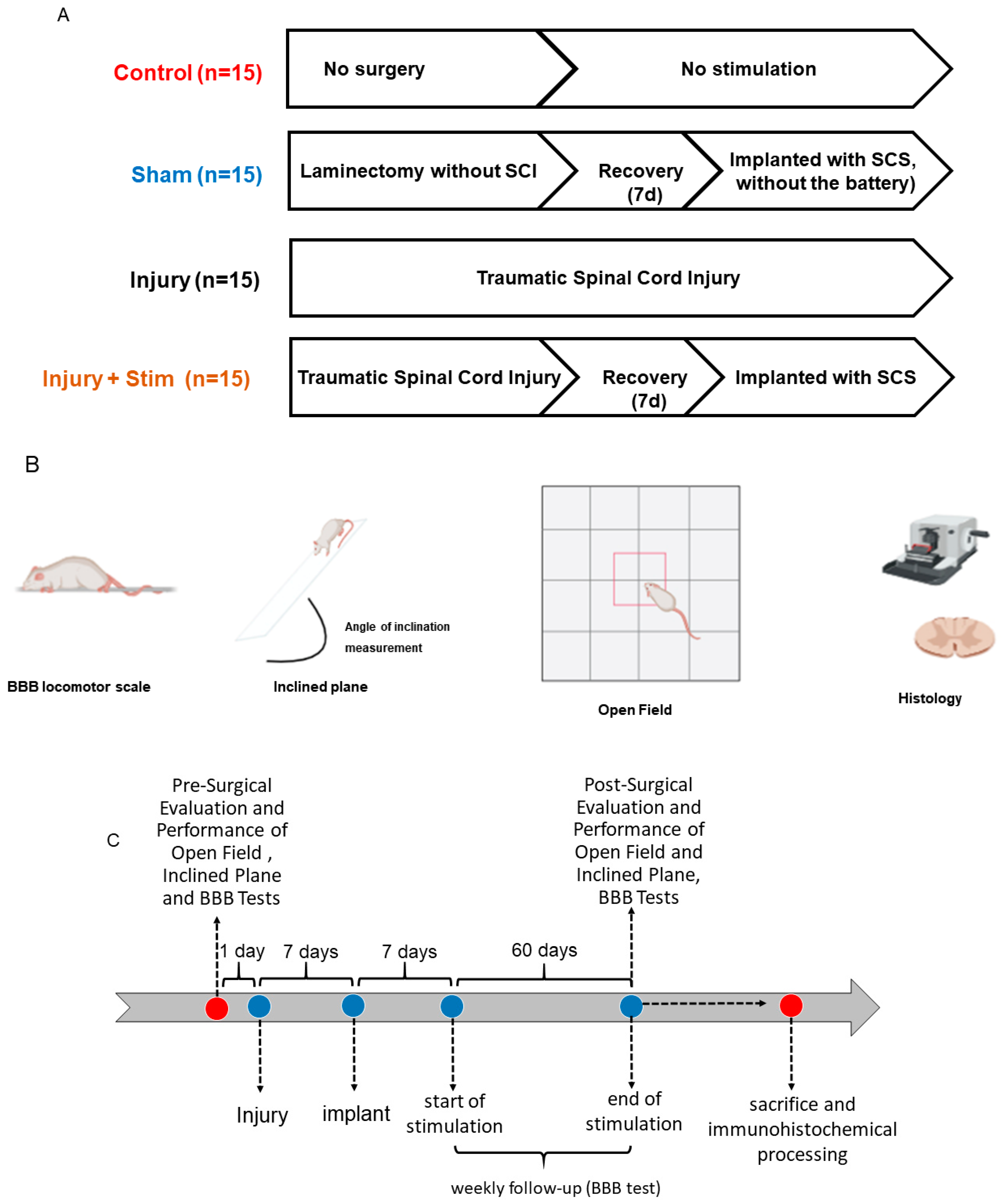 Ijms 25 09043 g005 Ijms 25 09043 g005