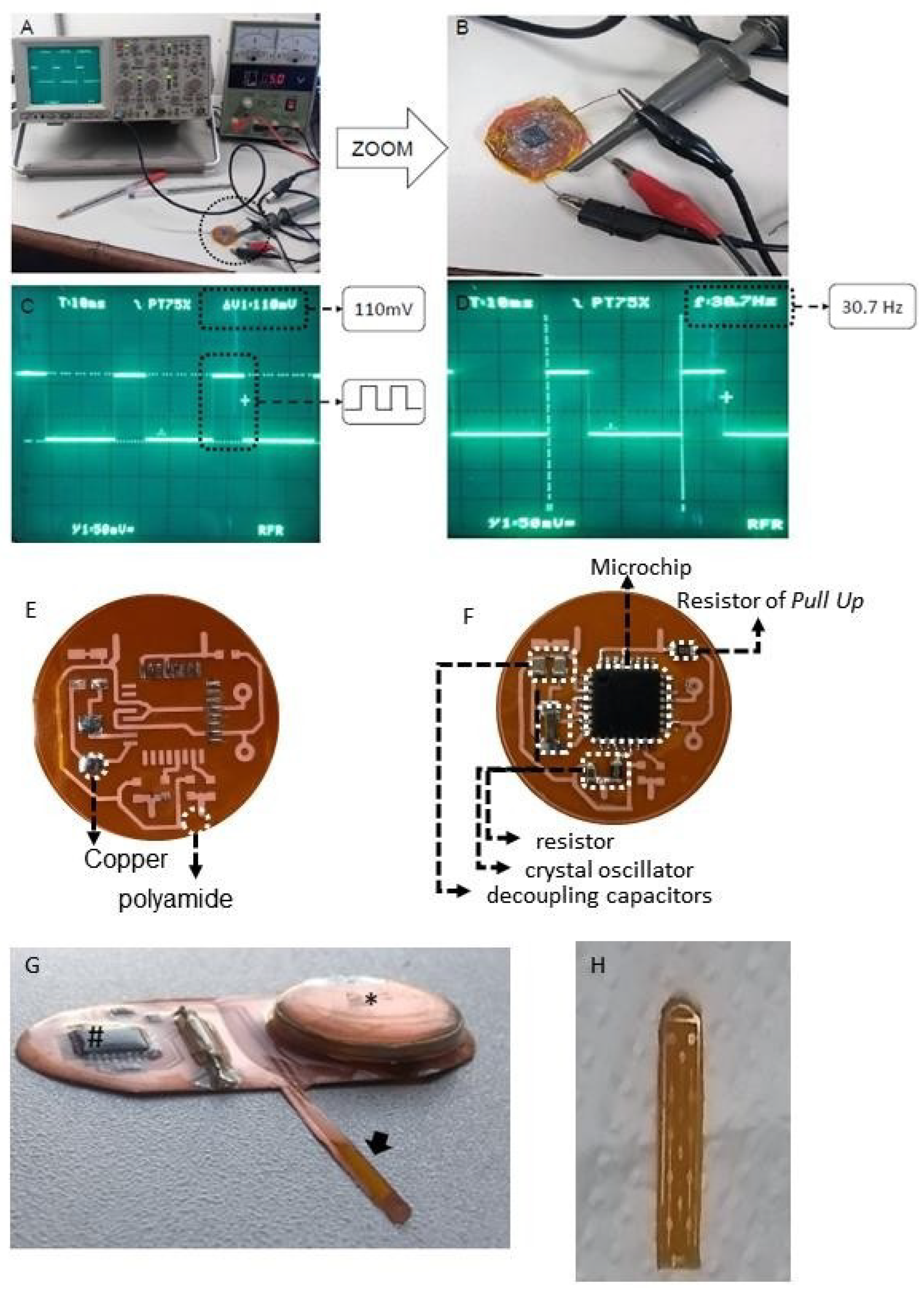 Ijms 25 09043 g006 Ijms 25 09043 g006