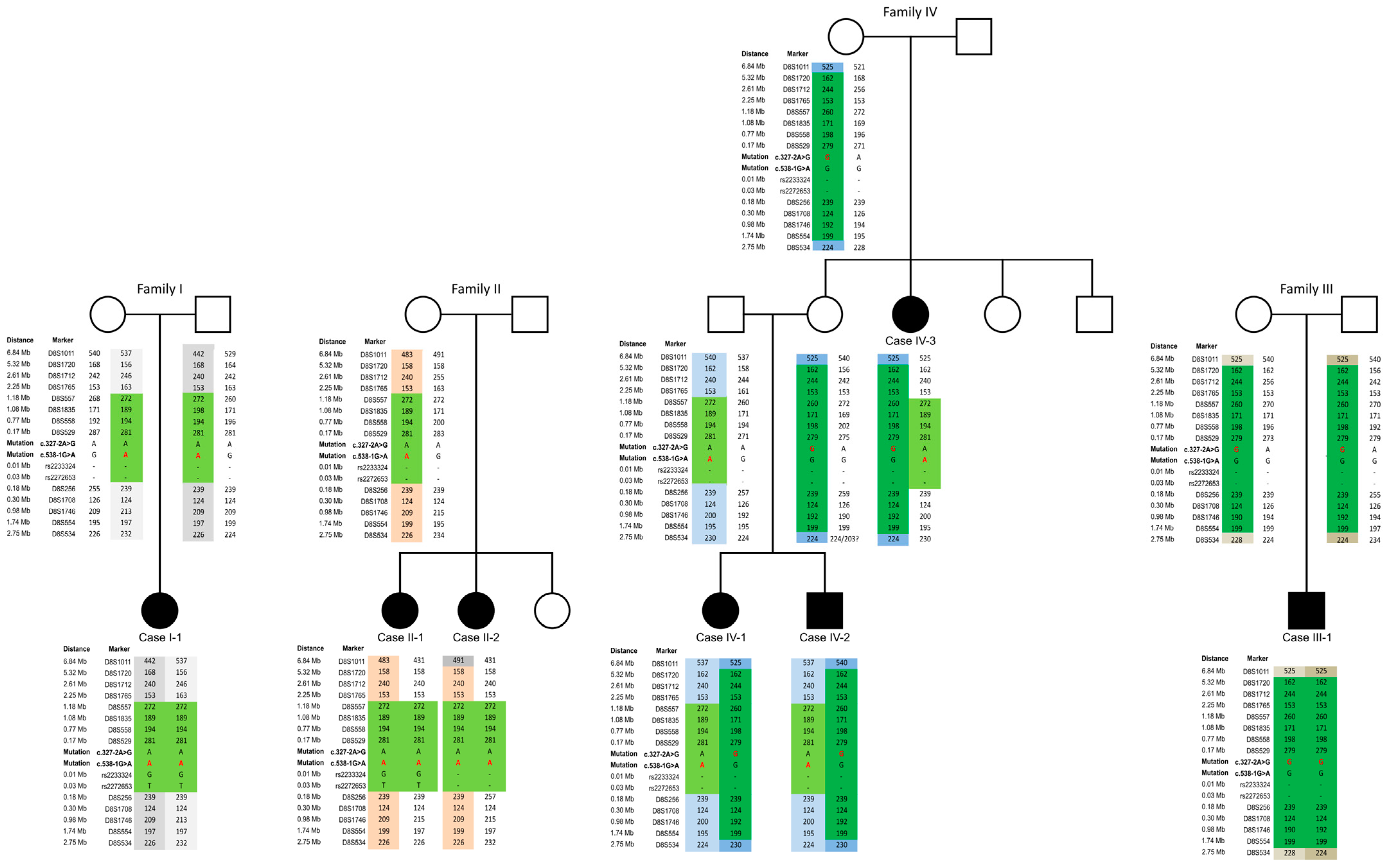 Ijms 25 09047 g001 Ijms 25 09047 g001