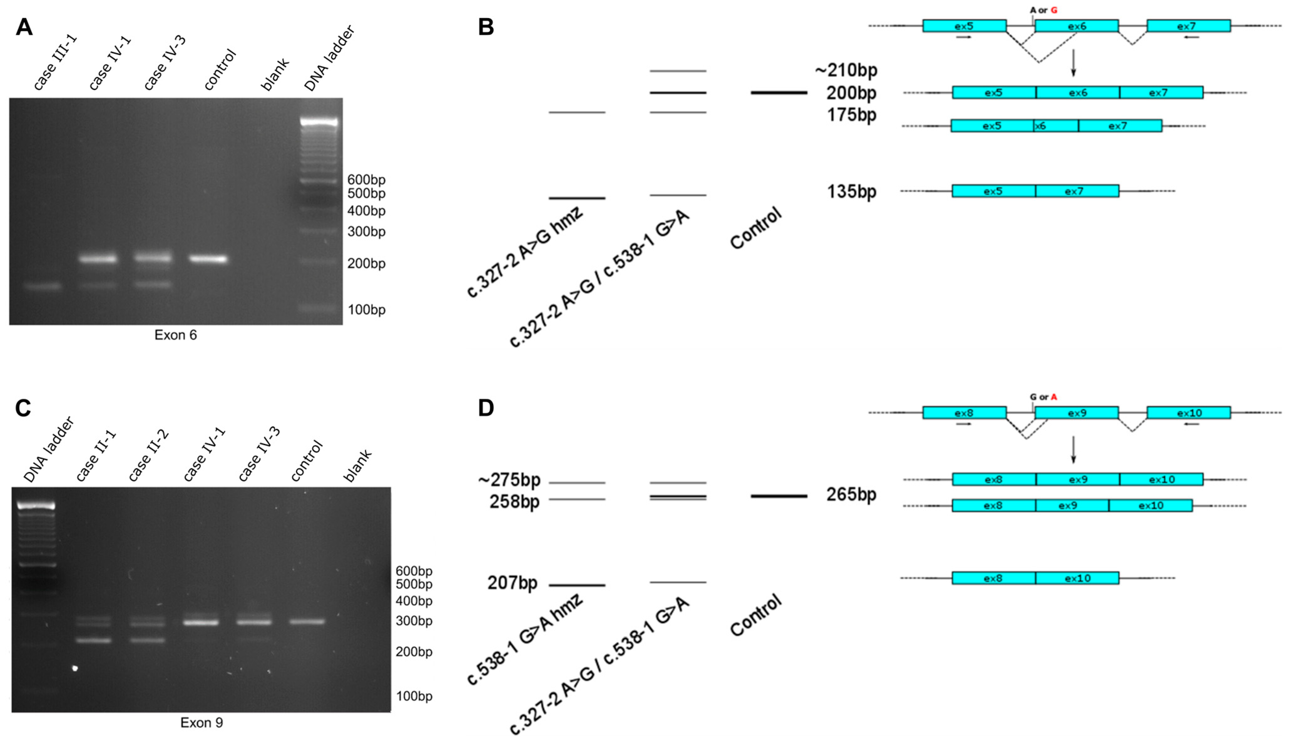 Ijms 25 09047 g002 Ijms 25 09047 g002