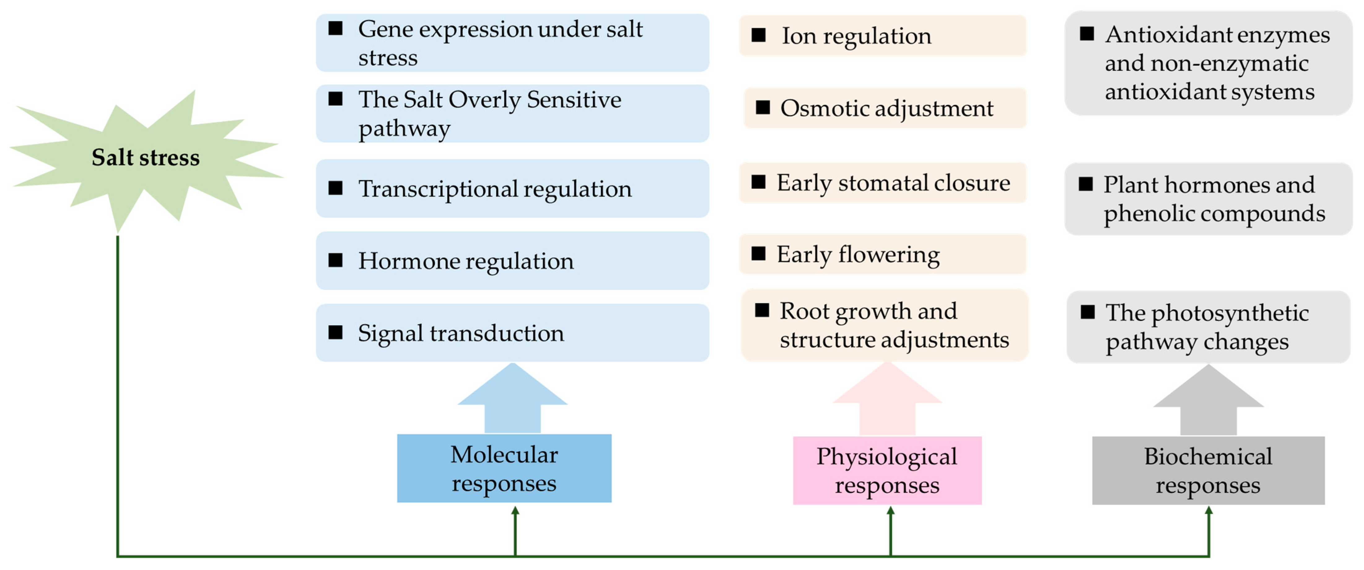 Ijms 25 09051 g001 Ijms 25 09051 g001