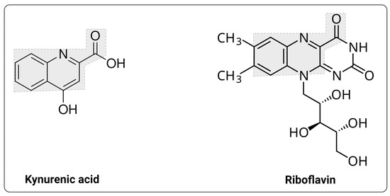 The Biology and Biochemistry of Kynurenic Acid, a Potential The Biology and Biochemistry of Kynurenic Acid, a Potential