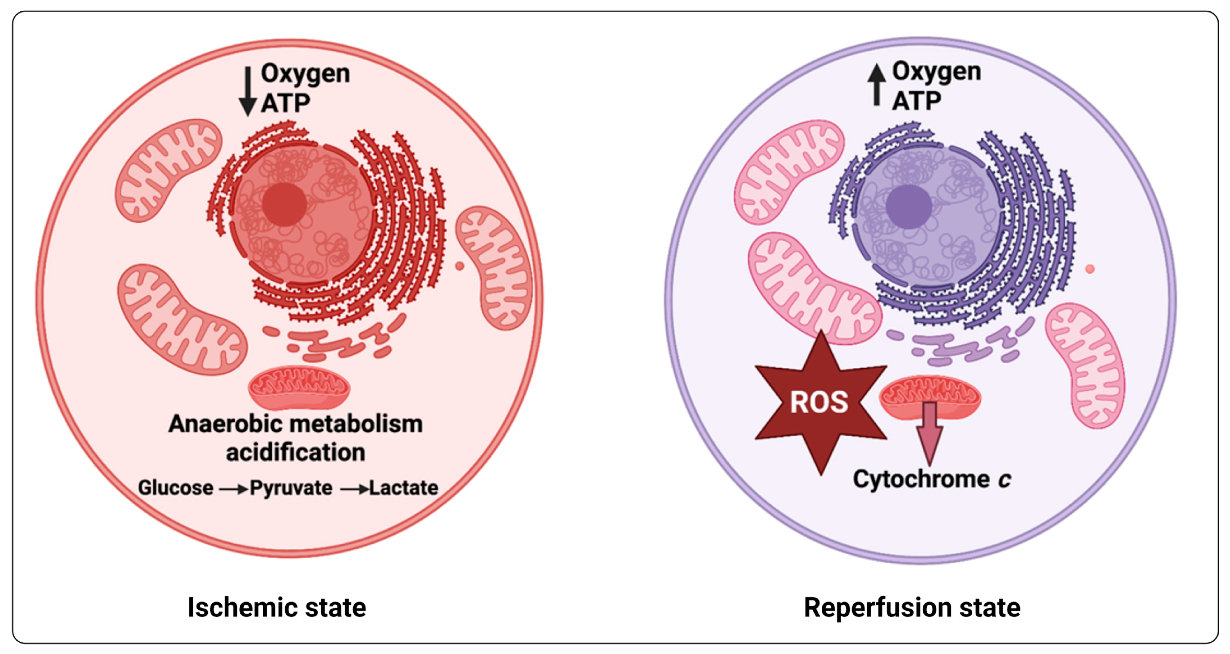 Ijms 25 09082 g008 Ijms 25 09082 g008
