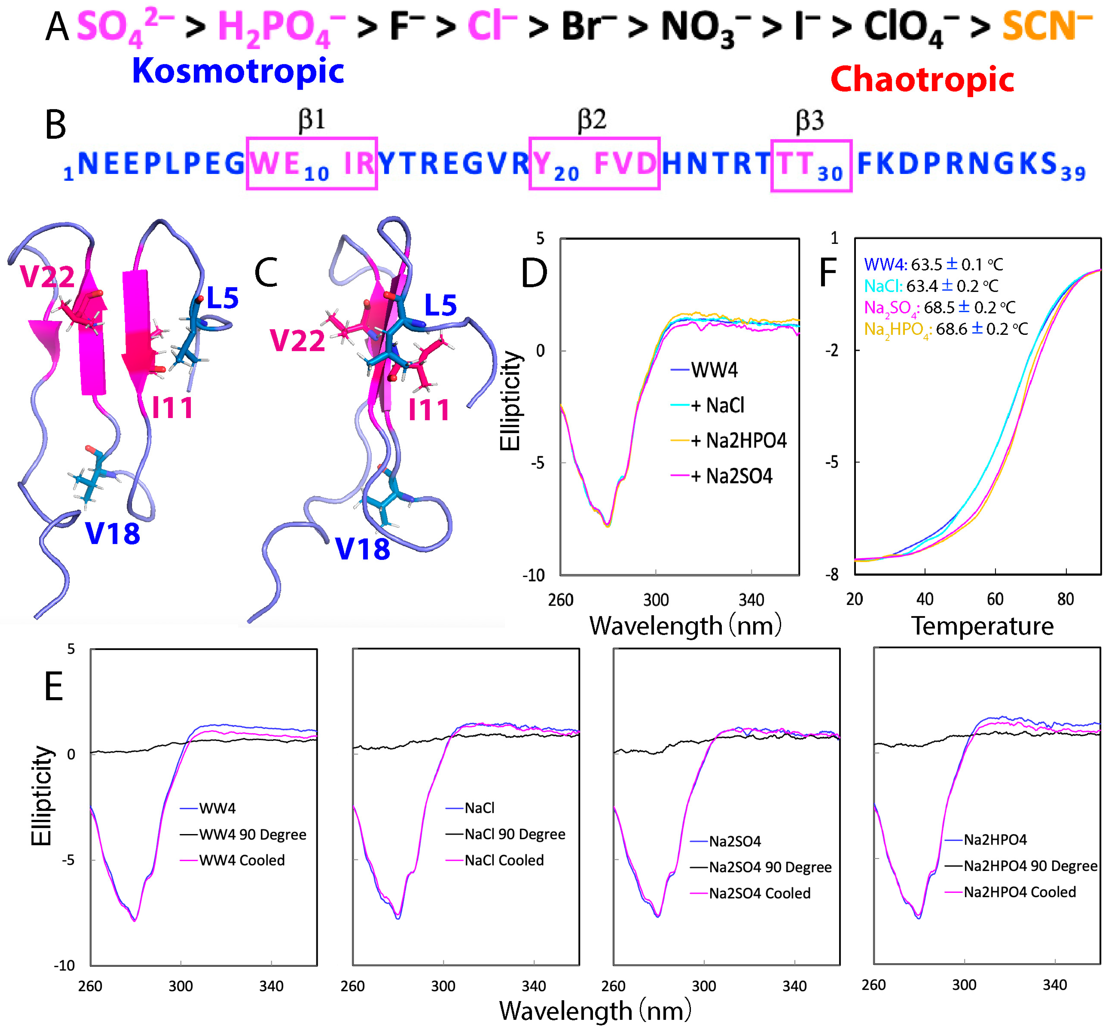 Ijms 25 09091 g001 Ijms 25 09091 g001