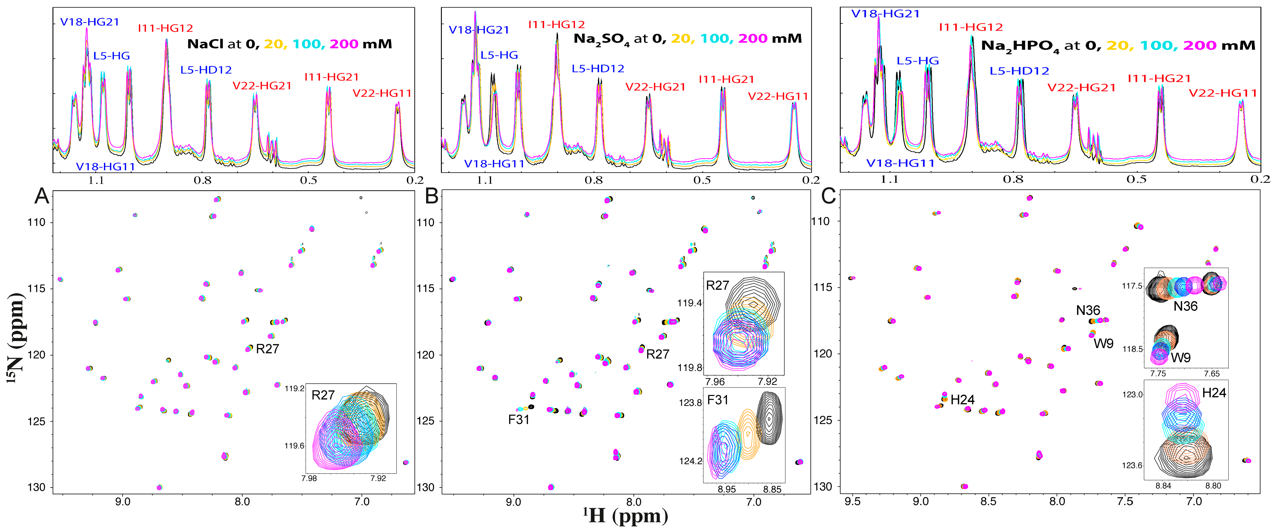 Ijms 25 09091 g002 Ijms 25 09091 g002