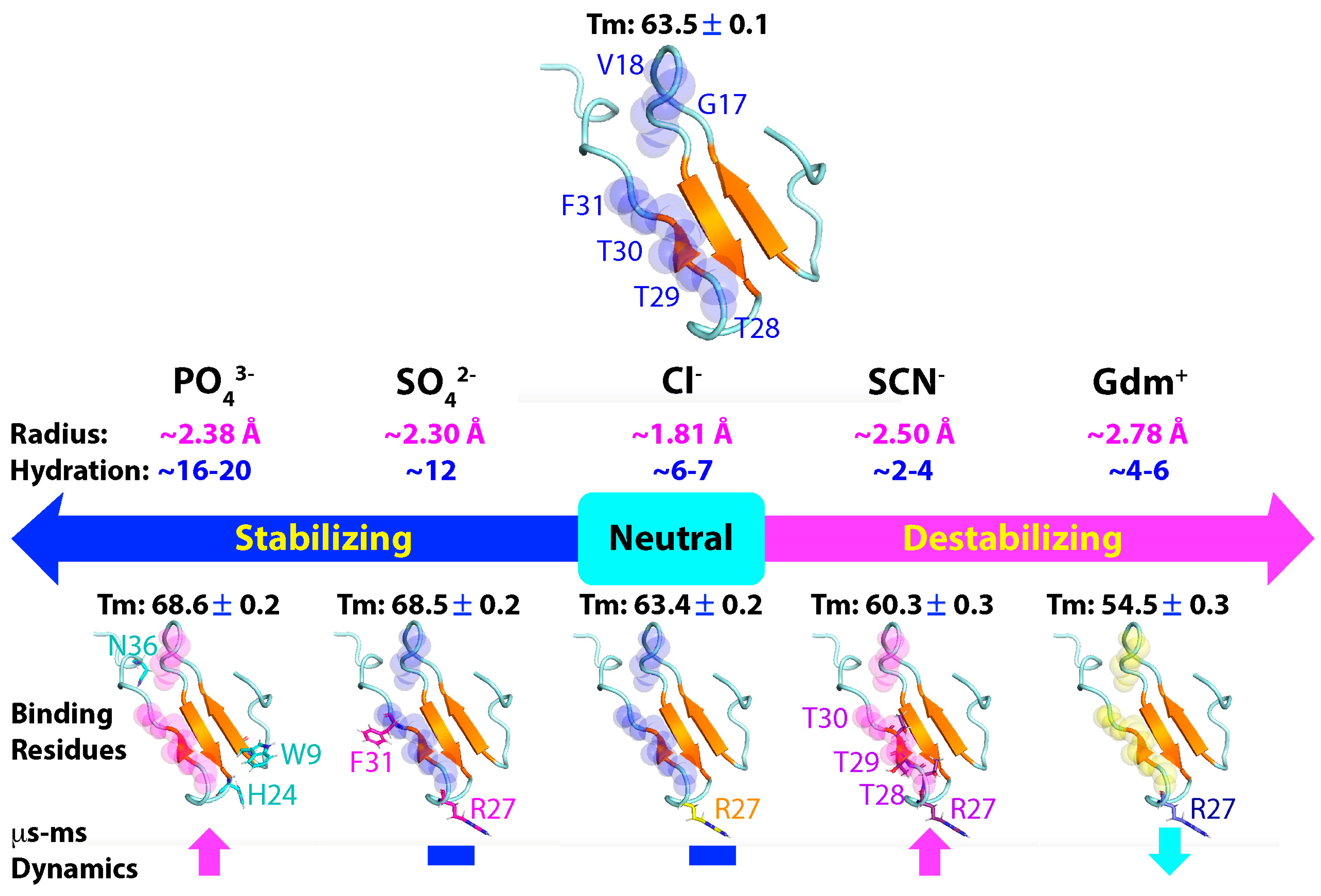 Ijms 25 09091 g007 Ijms 25 09091 g007