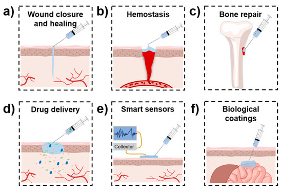 Mussel-Inspired Injectable Adhesive Hydrogels for Biomedical