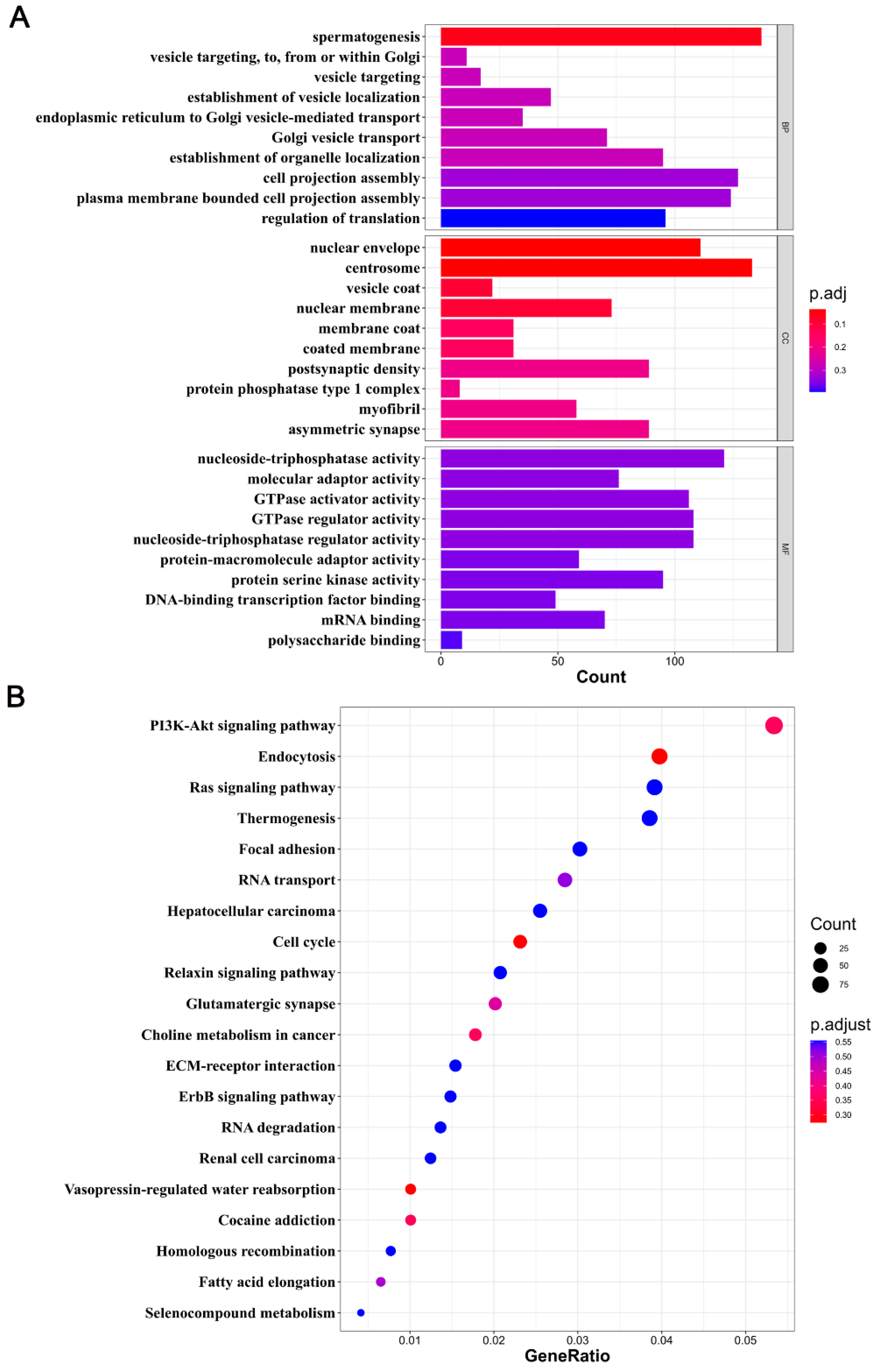 Ijms 25 09105 g003 Ijms 25 09105 g003
