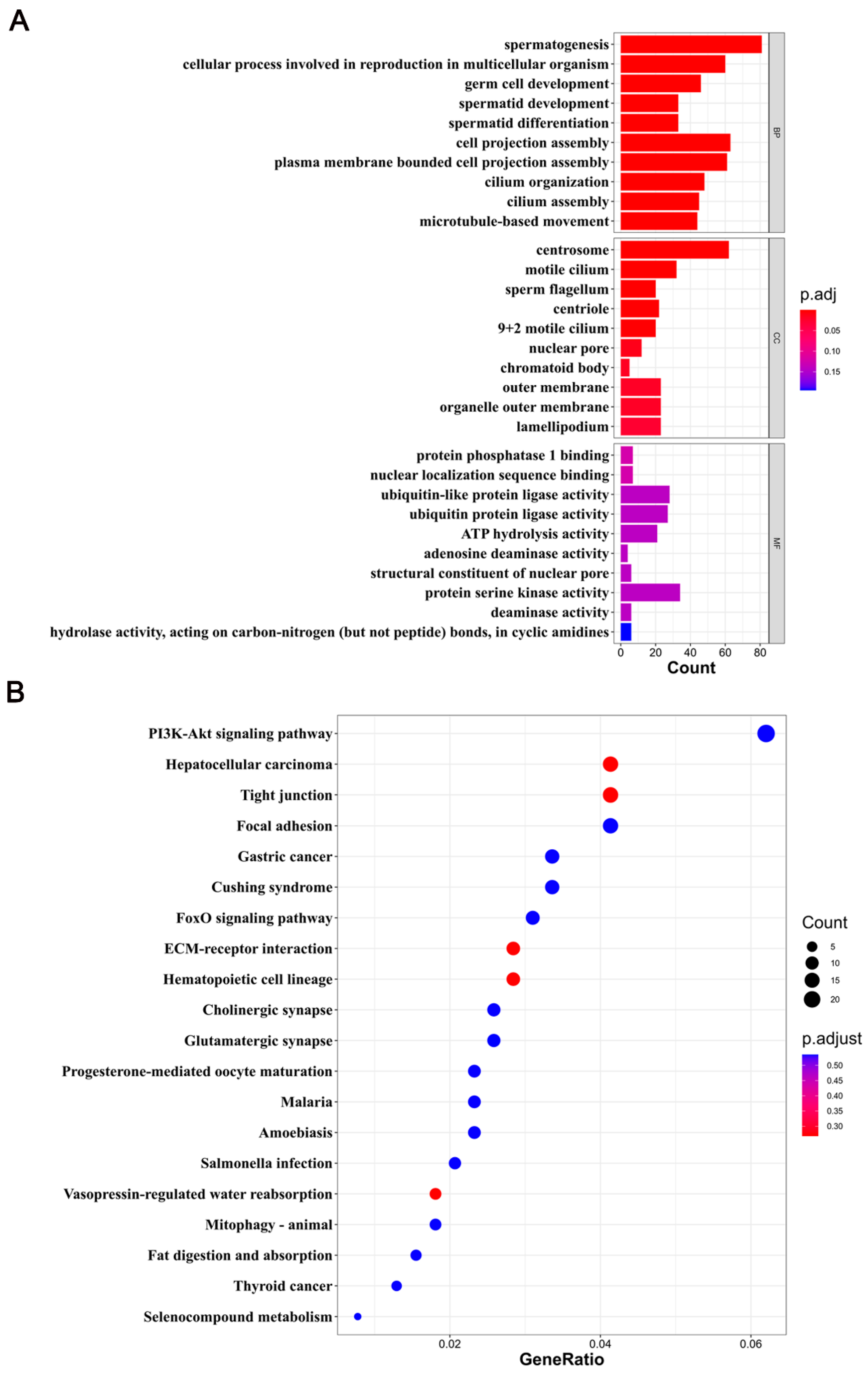 Ijms 25 09105 g005 Ijms 25 09105 g005