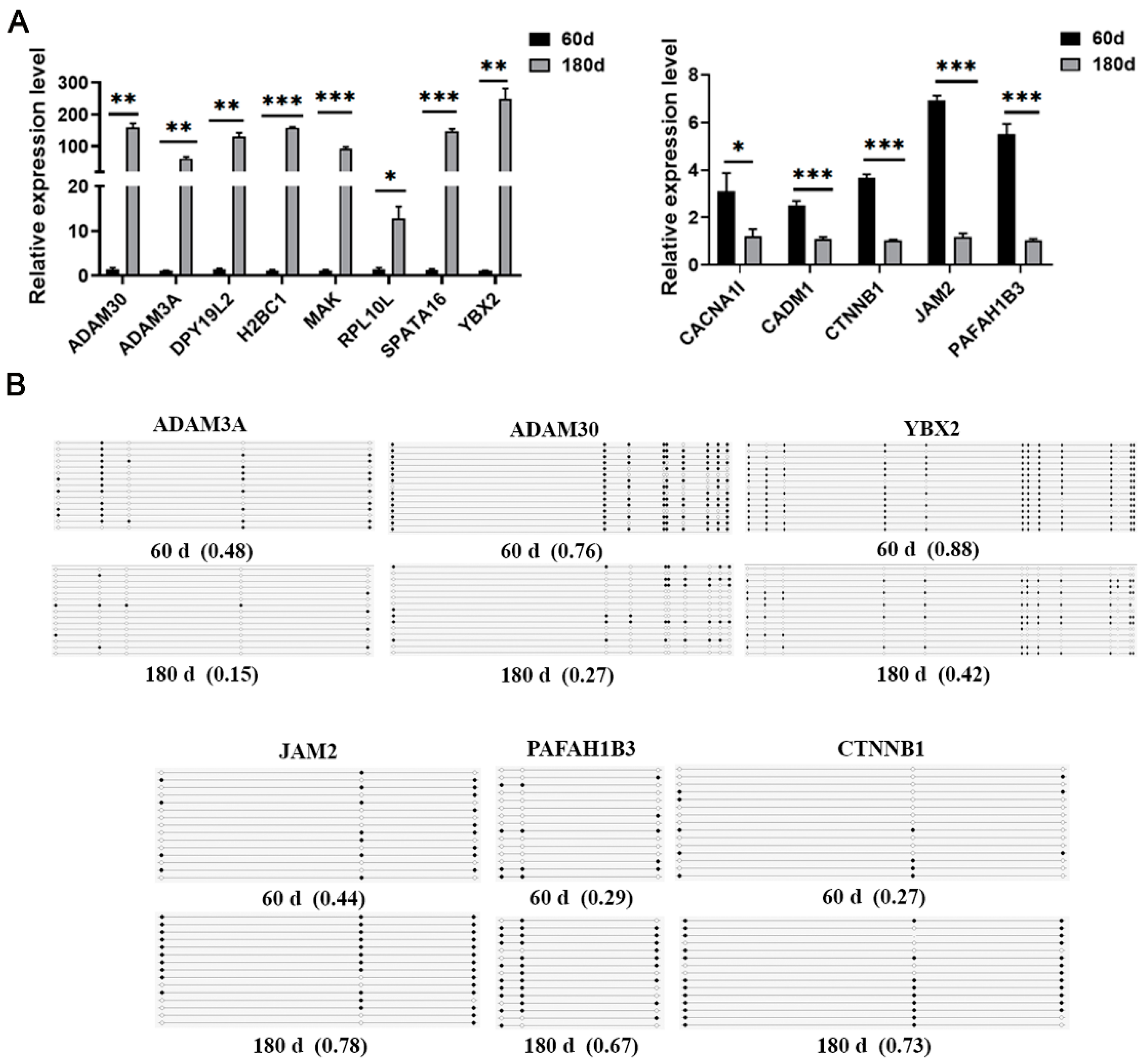 Ijms 25 09105 g006 Ijms 25 09105 g006