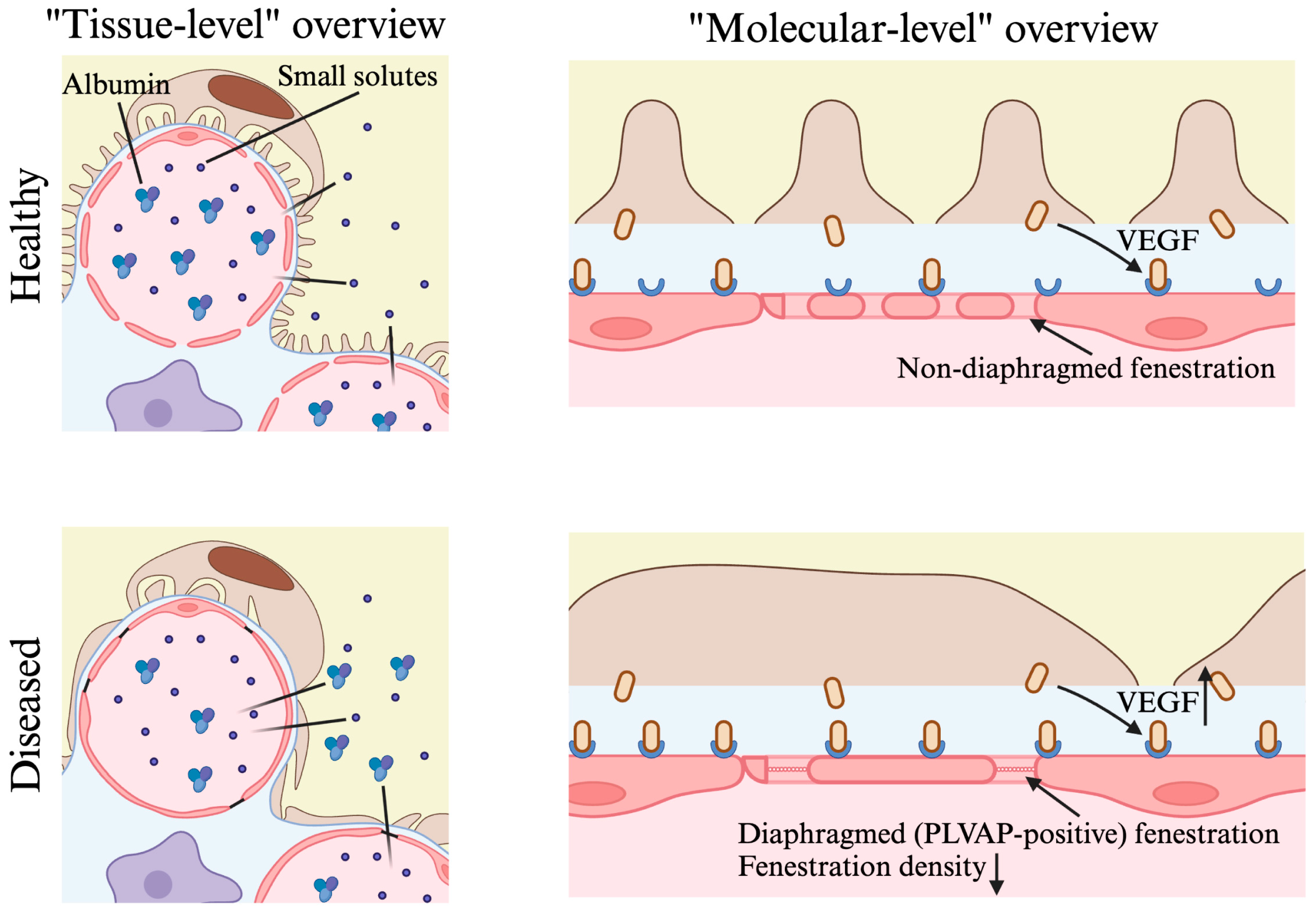 Ijms 25 09107 g002 Ijms 25 09107 g002
