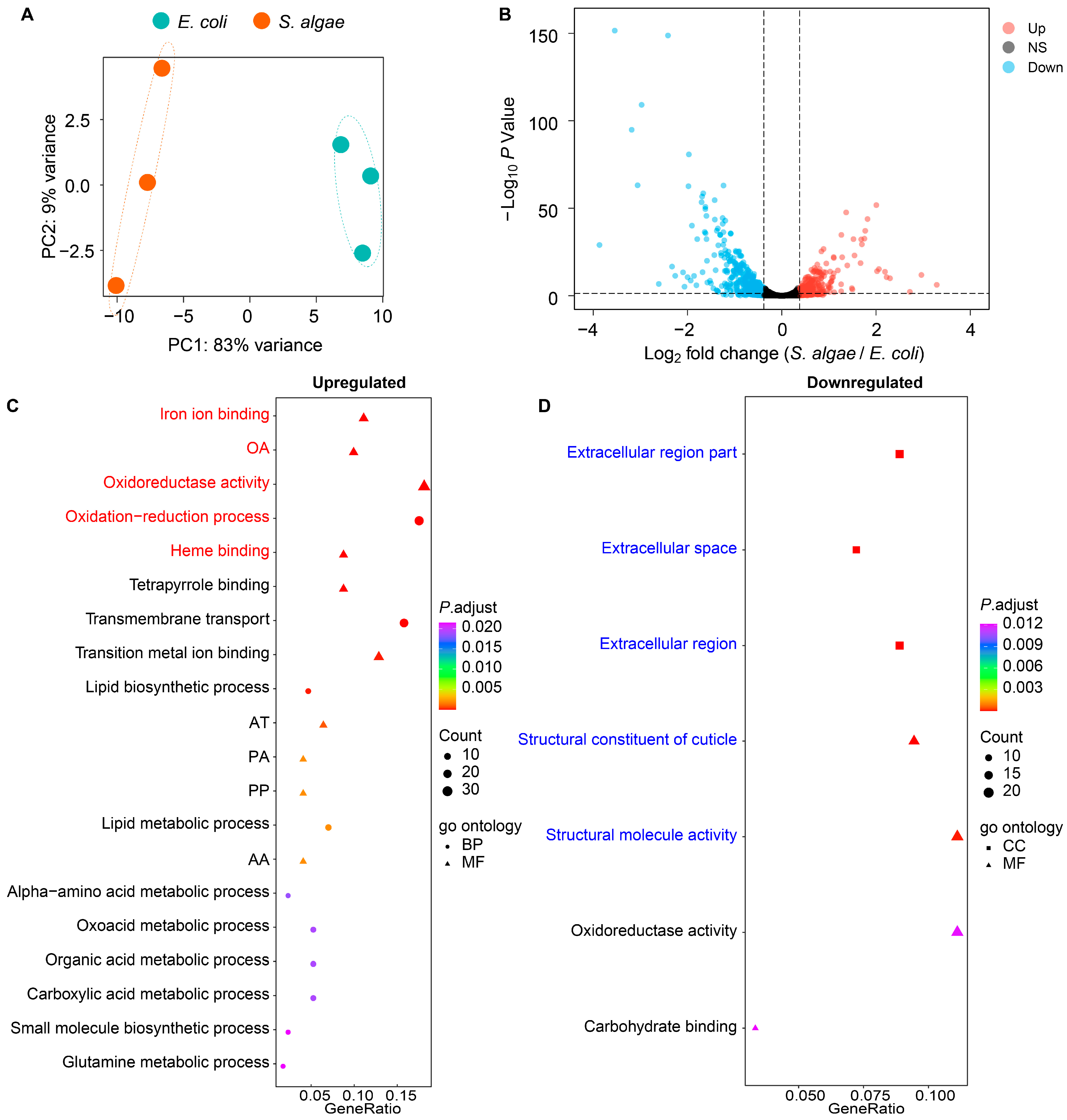 Ijms 25 09111 g002 Ijms 25 09111 g002